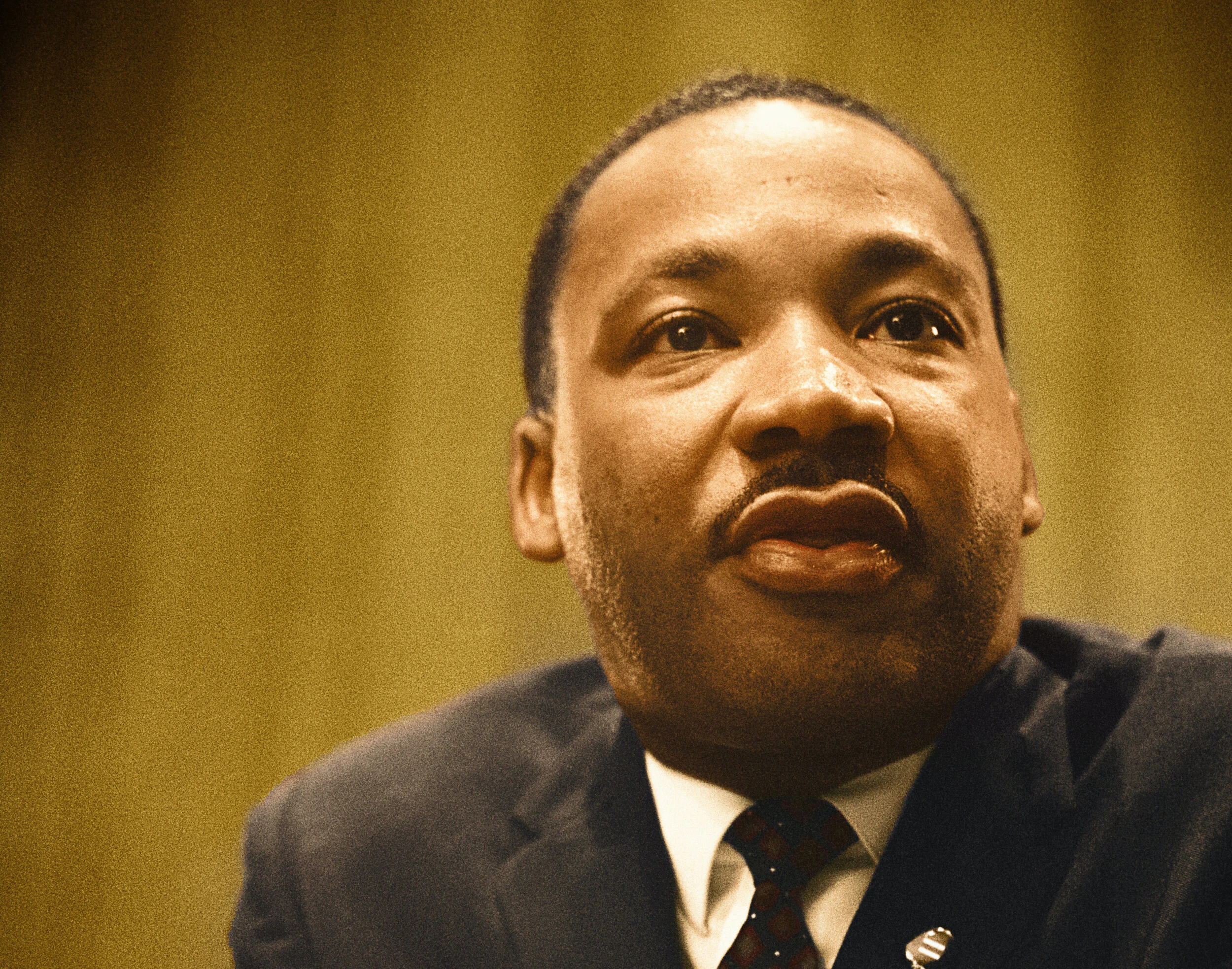 Martin Luther King Day of Service
