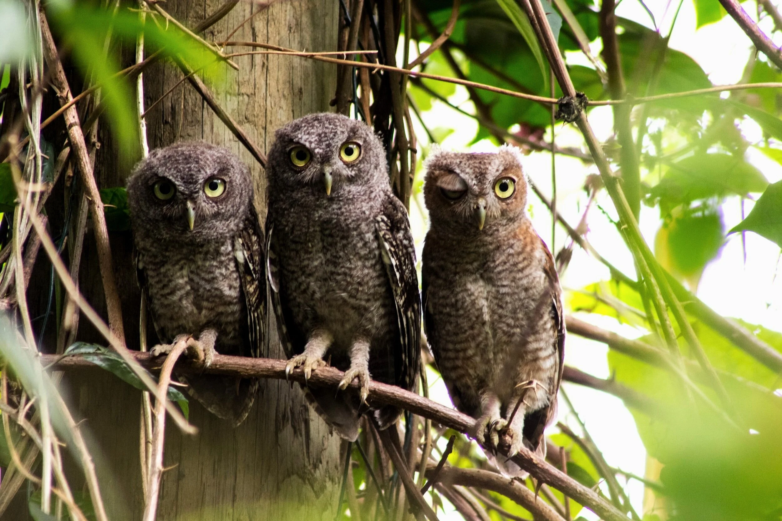 Sage-ing Group Meets In Person