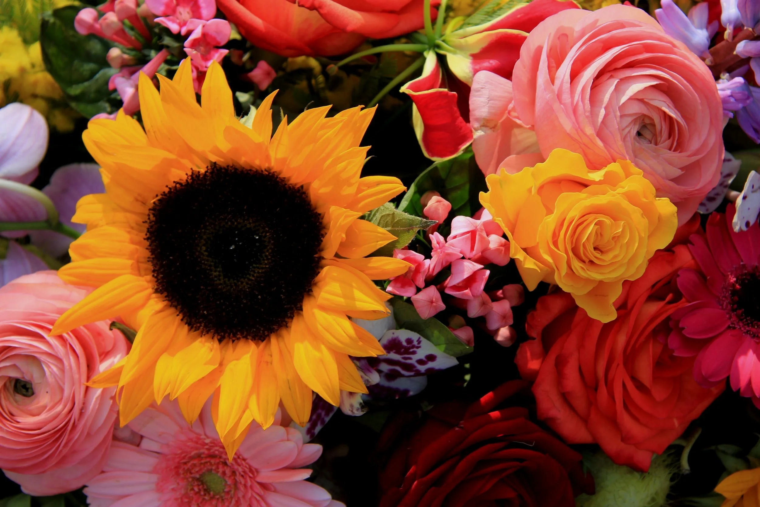 Altar Flowers for October 