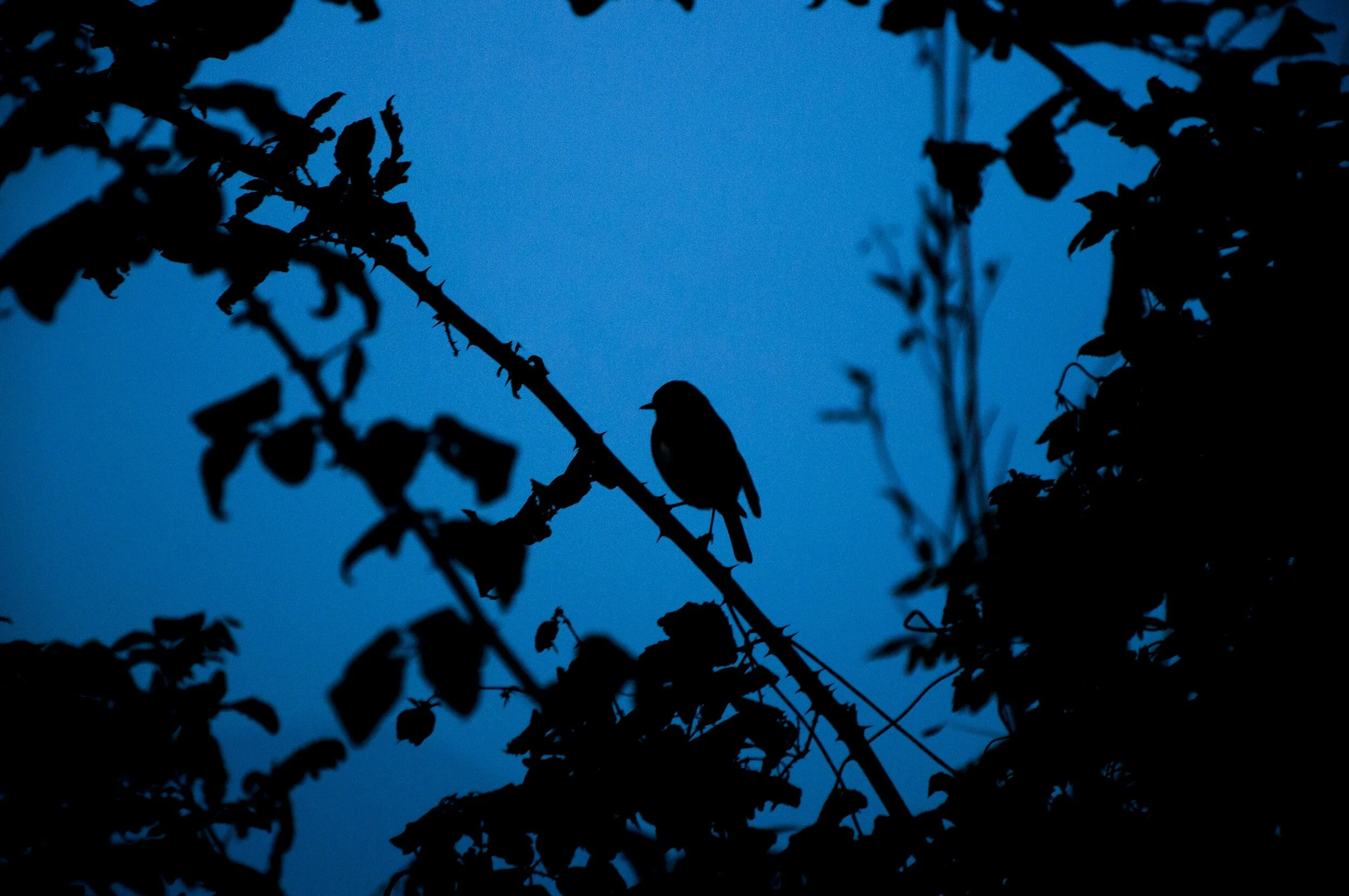 Hidden Isolation