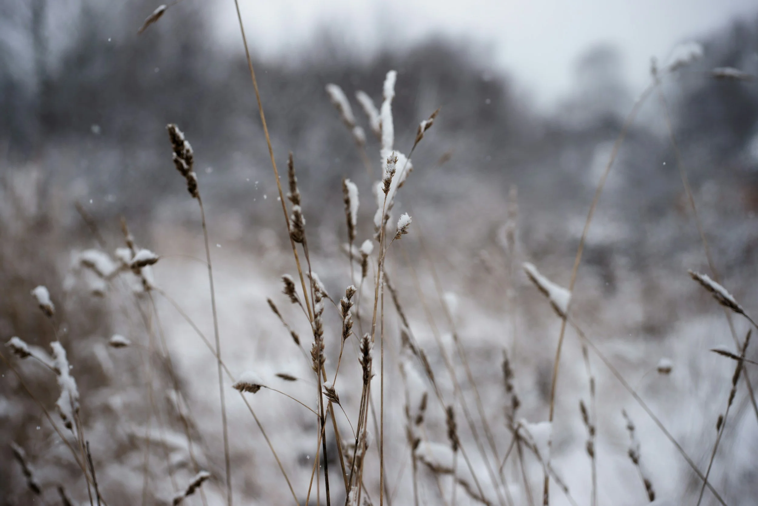 February Giving Summary