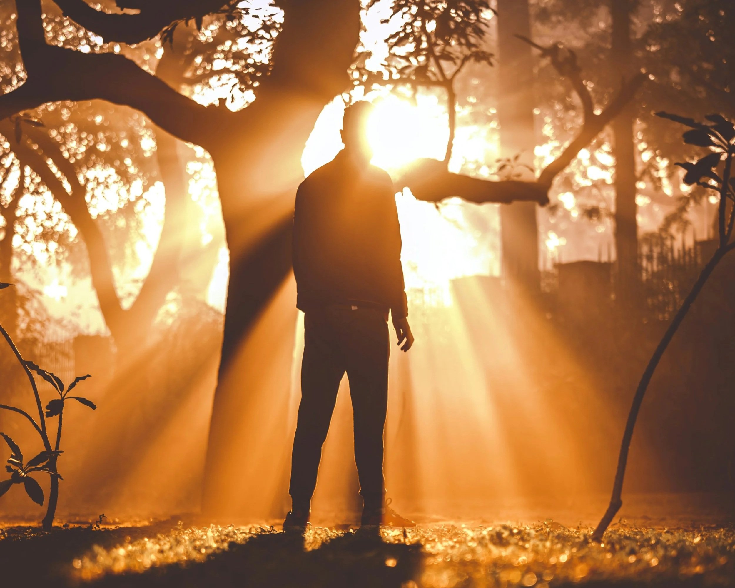 Out of Death, Into Life