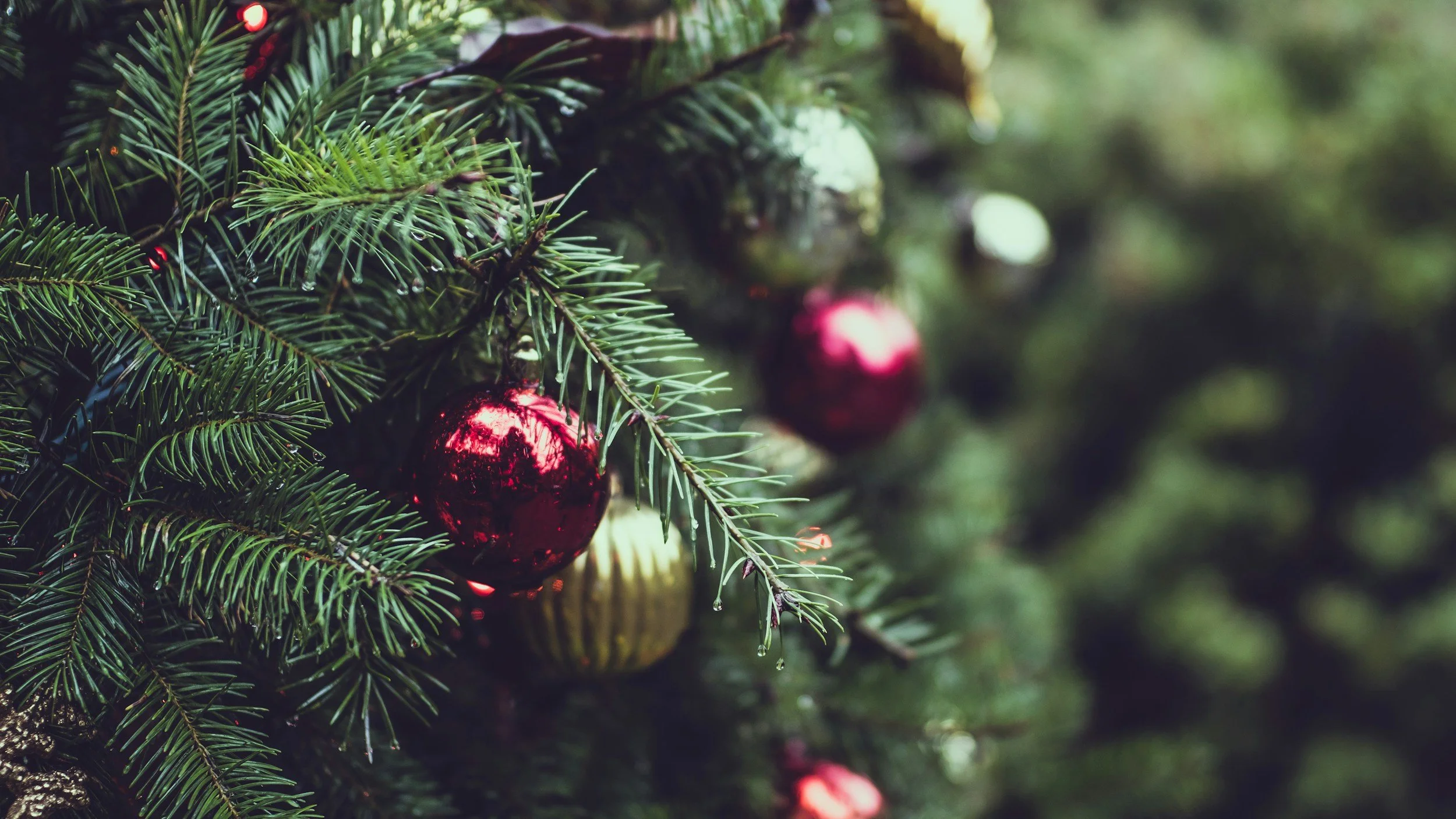 Holiday Greenery Sale