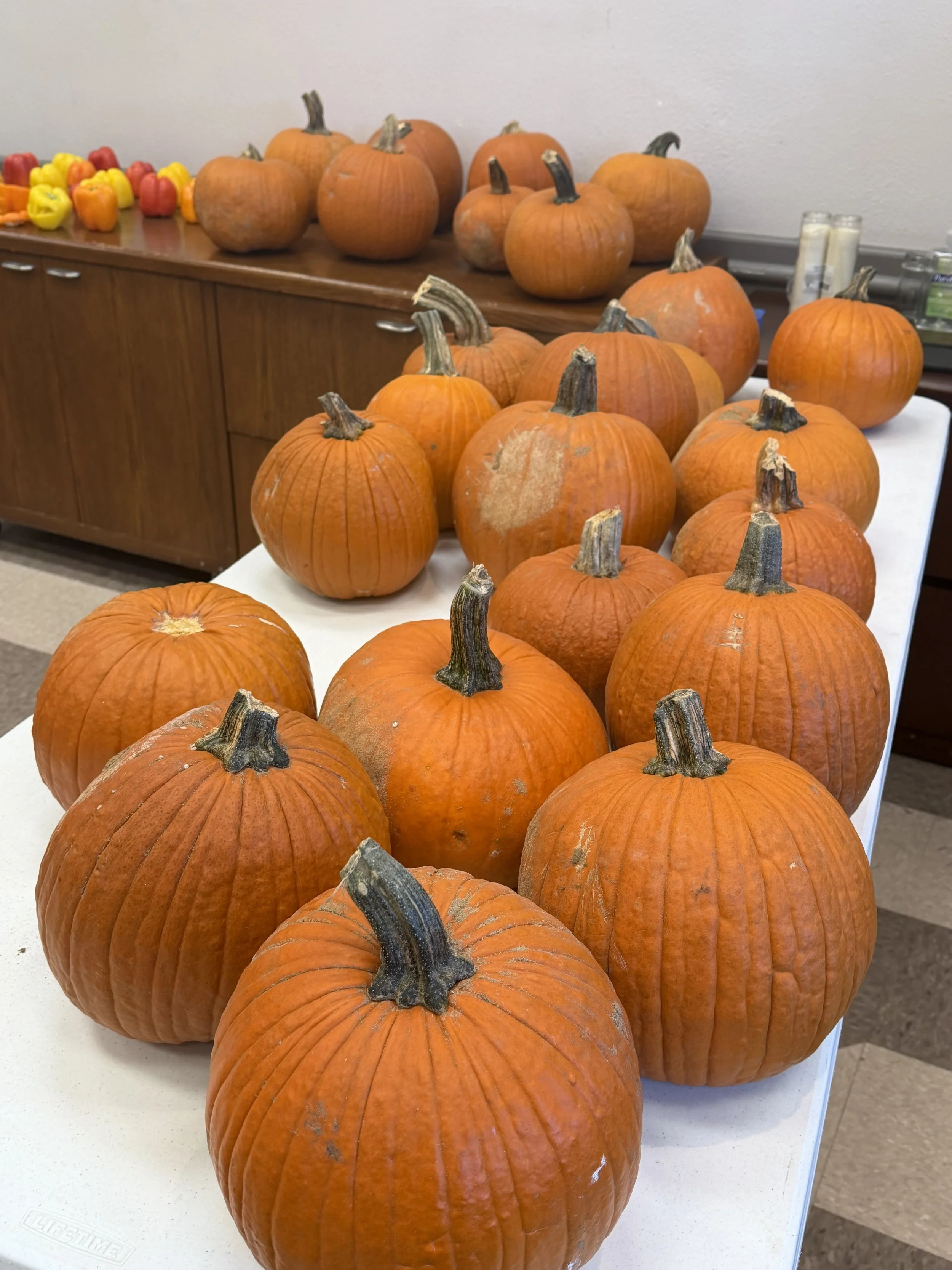 Halloween 7.jpg