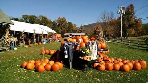 Missy Leab - pumpkinpic4.jpg