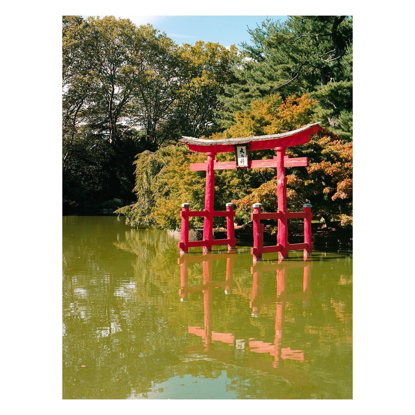 // Green Pond //