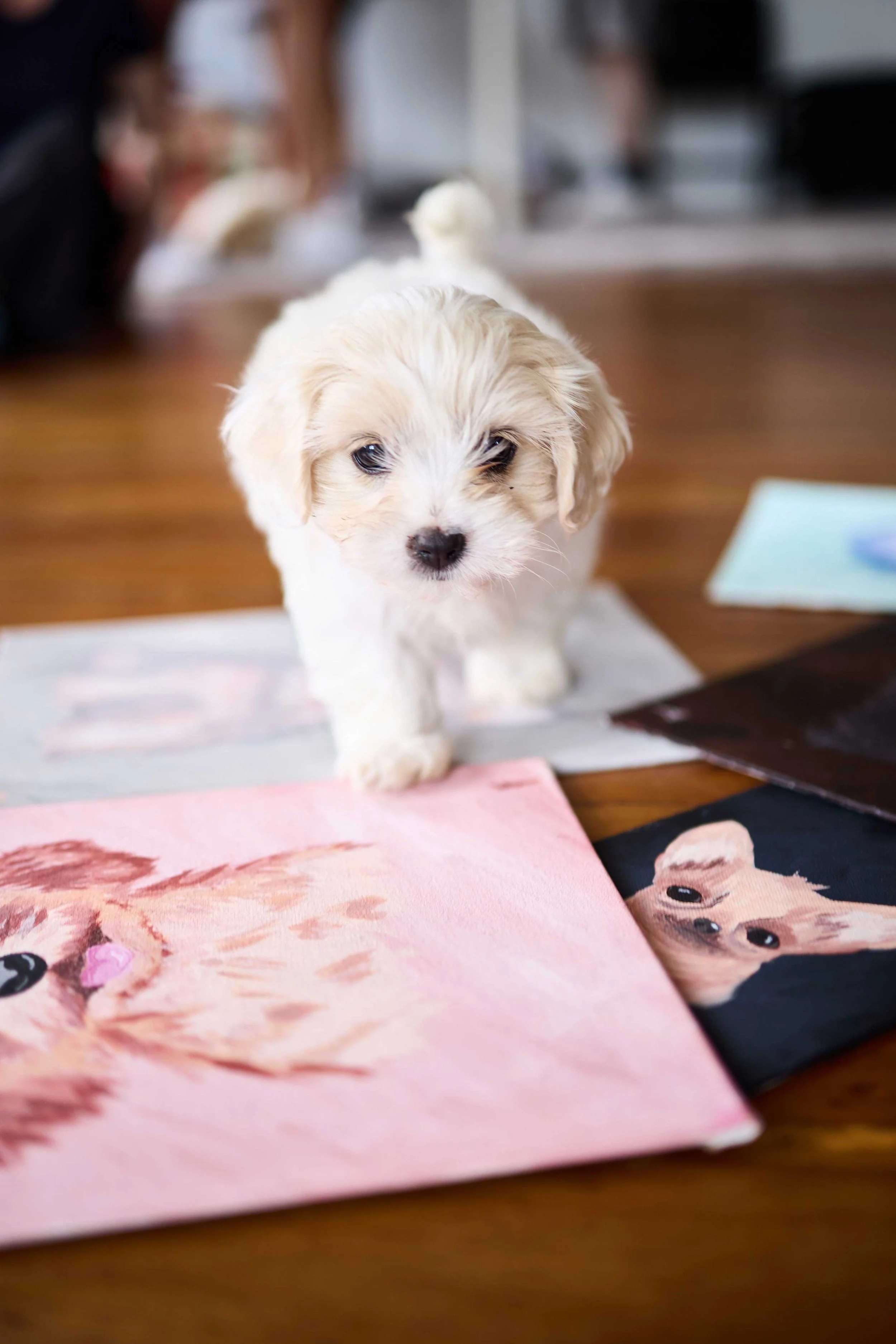 Pup n Paint workshop participant with their dog in The Dale Studio, Chippendale, Sydney.