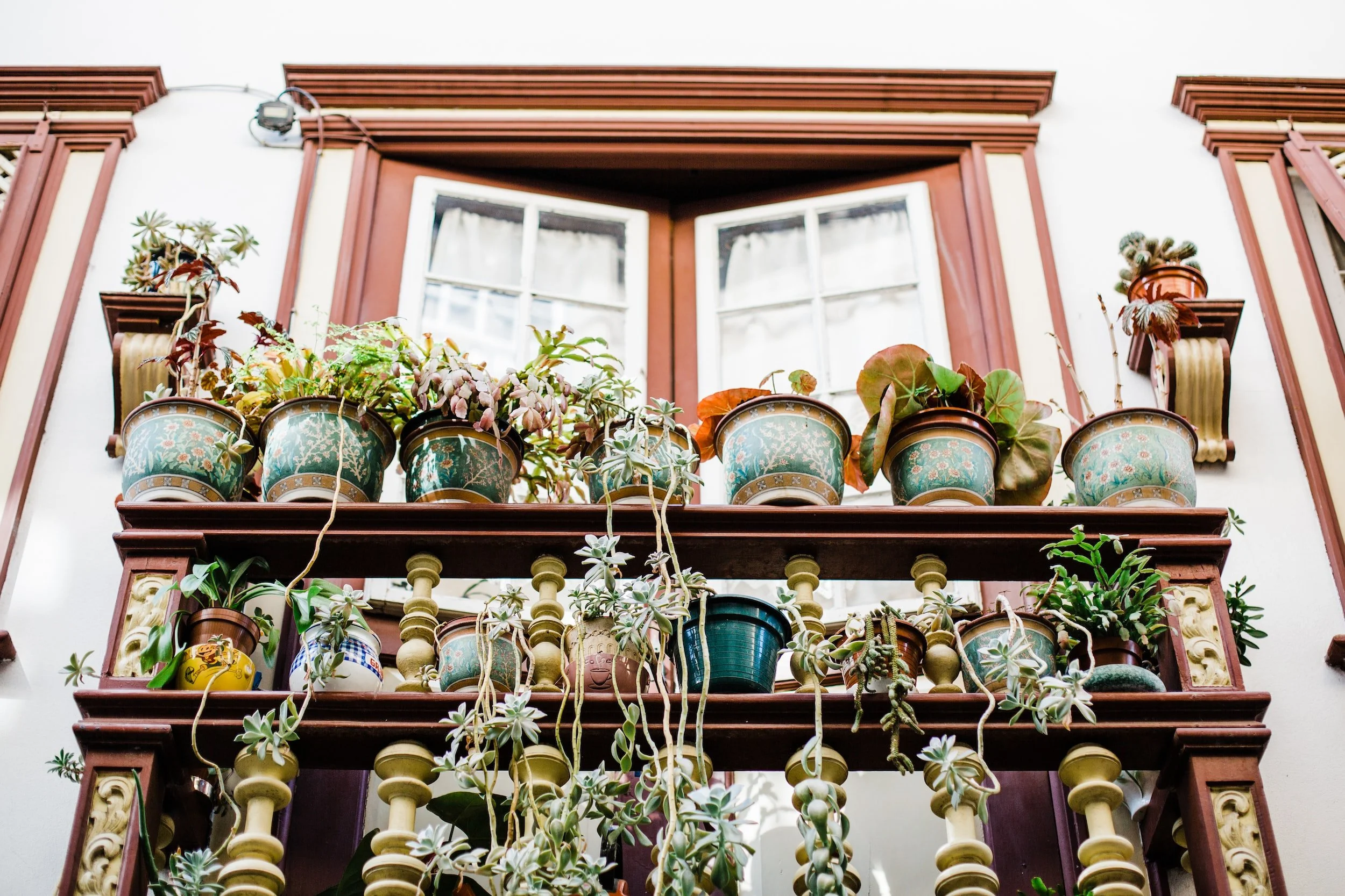 A decorative balcony filled with potted plants and flowers in colorful containers, with a window and white wall in the background.