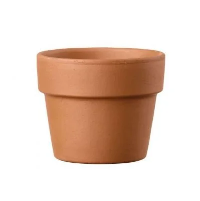 Empty terracotta flower pot against a white background.