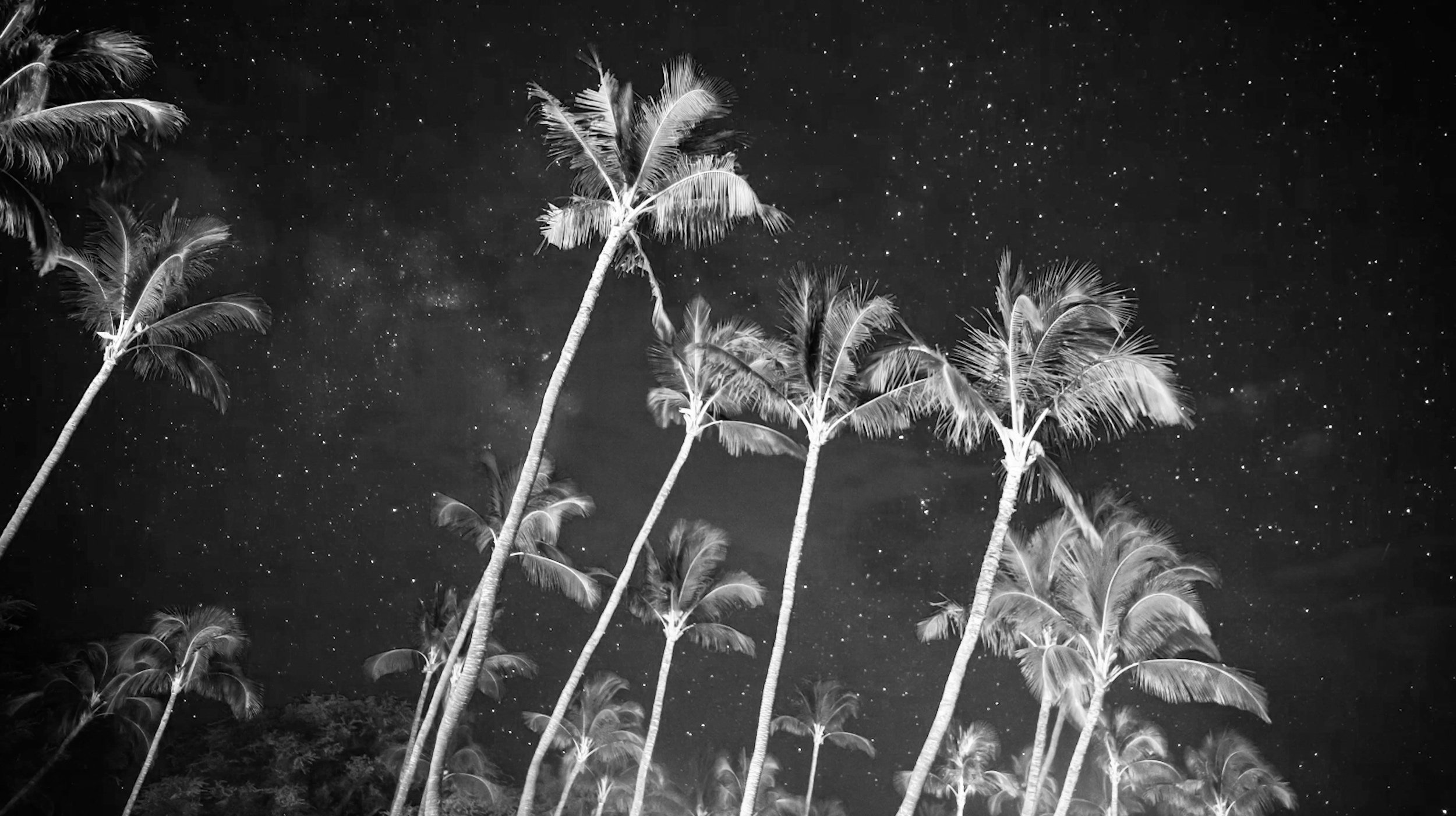 Screenshot 2024-05-13 at 1.55.02 PM.jpg