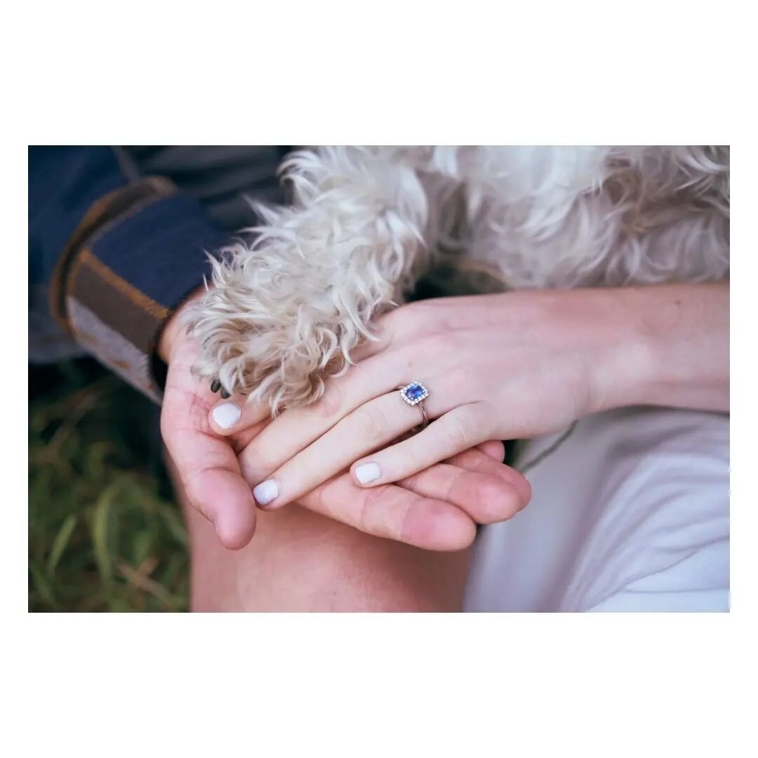 Libby &amp; Jackson

Life's better with animals.

We joked about getting the dog to come out for the engagement shoot and well... I guess we realised that we weren't really joking after all.