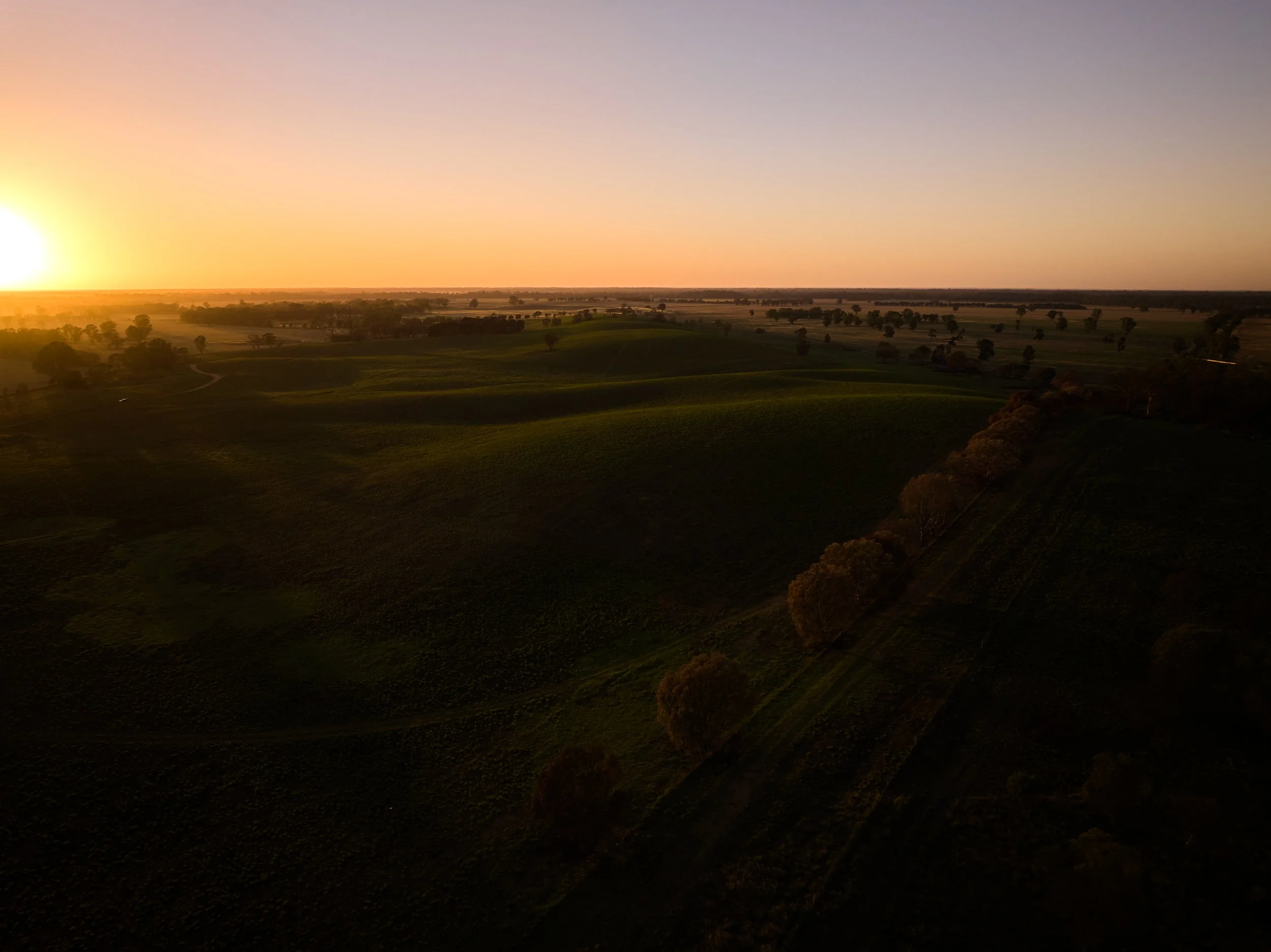 DJI_20241219061545_0143_D,.jpg