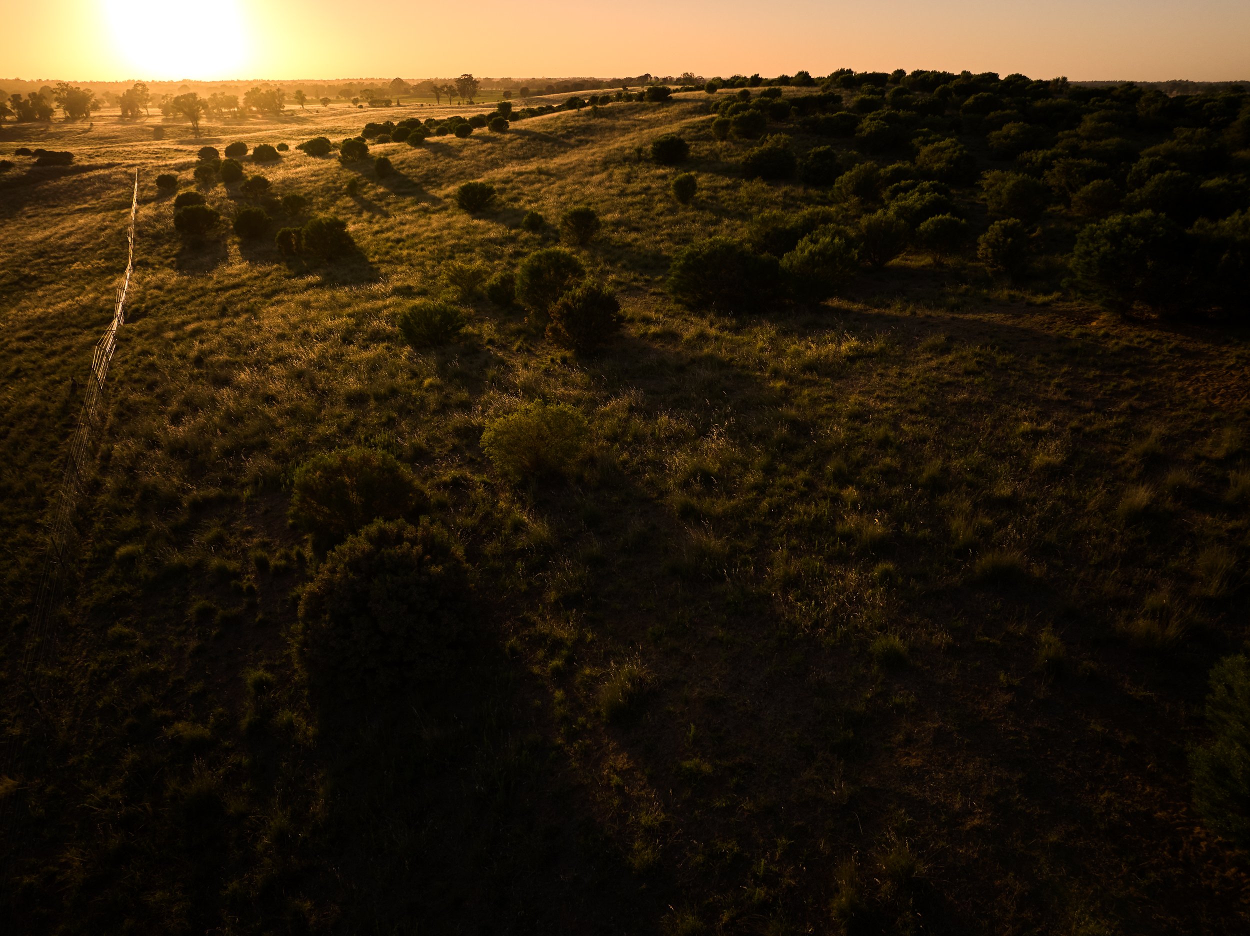 DJI_20241219062836_0449_D,.jpg