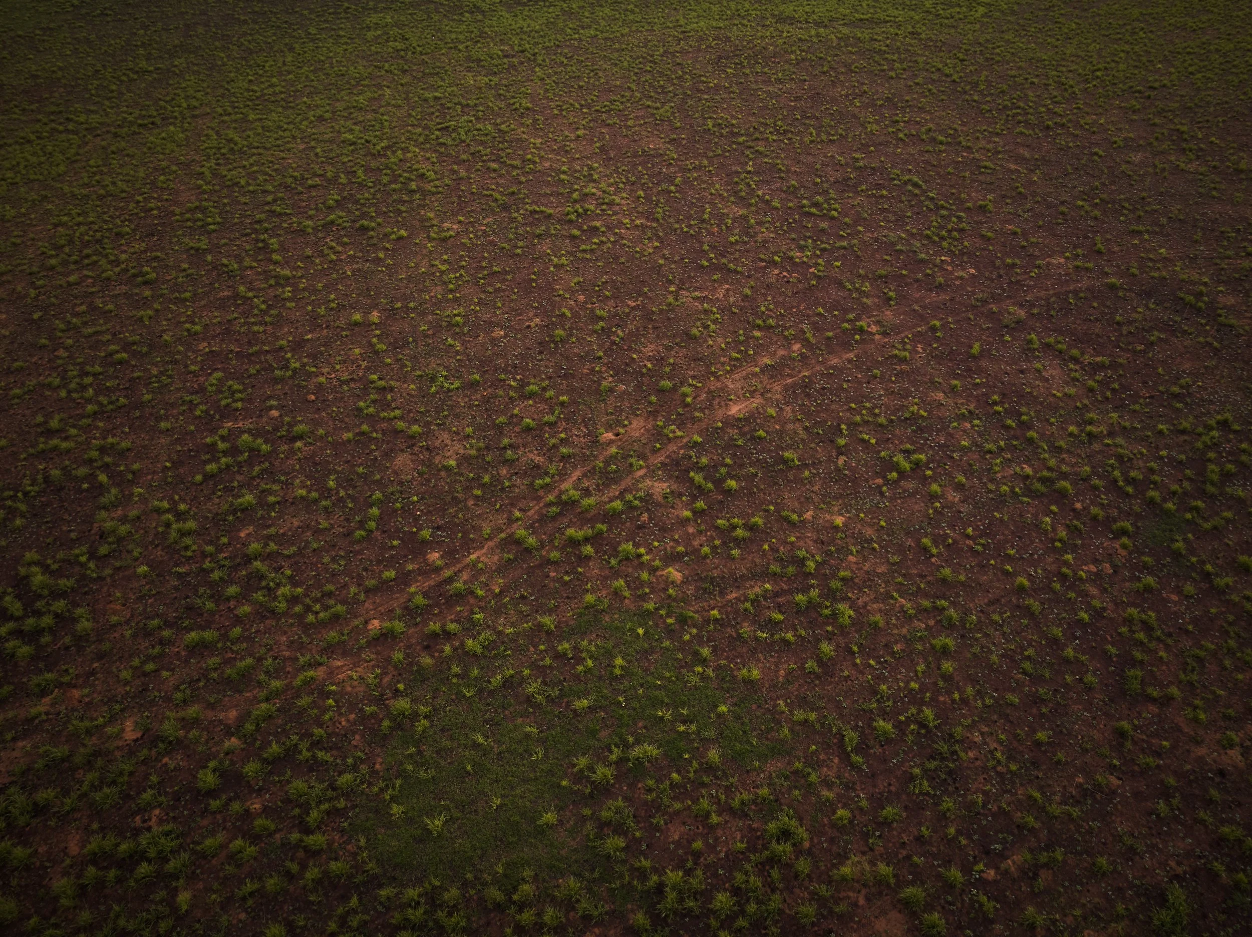 DJI_20241219060154_0870_D,.jpg