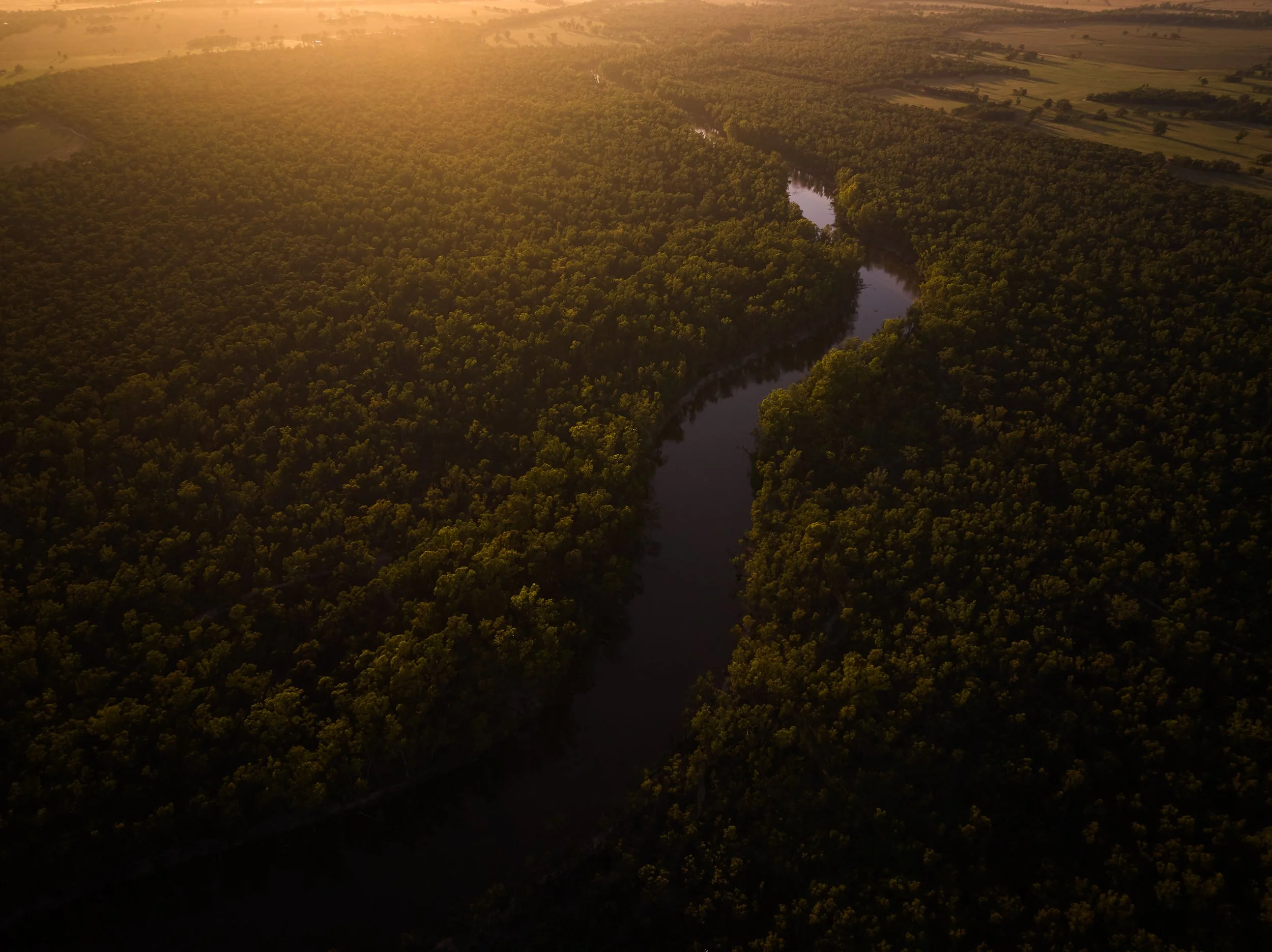 DJI_20241219064203_0597_D,.jpg