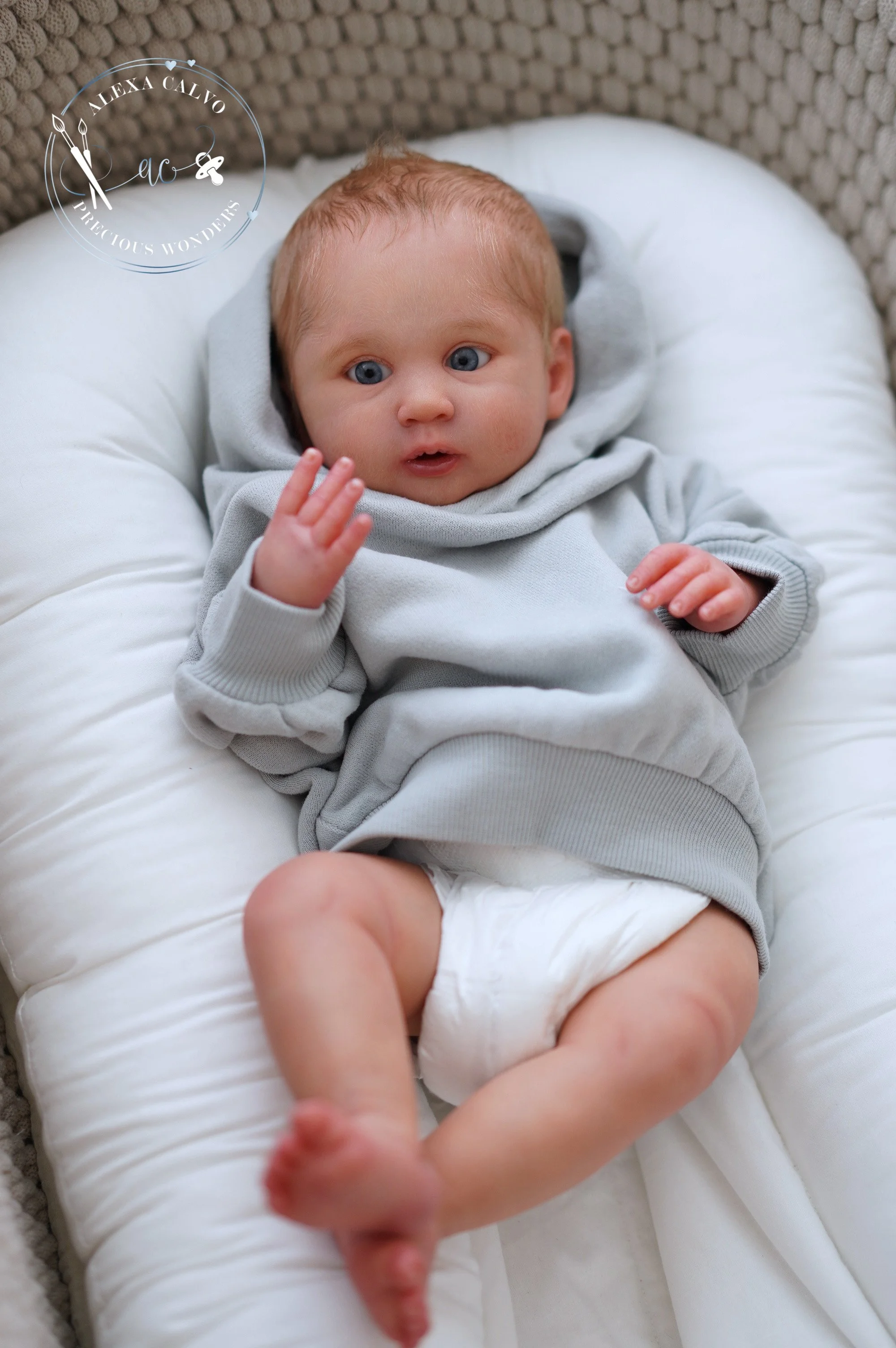 2026-03-09 12.12.14.jpg