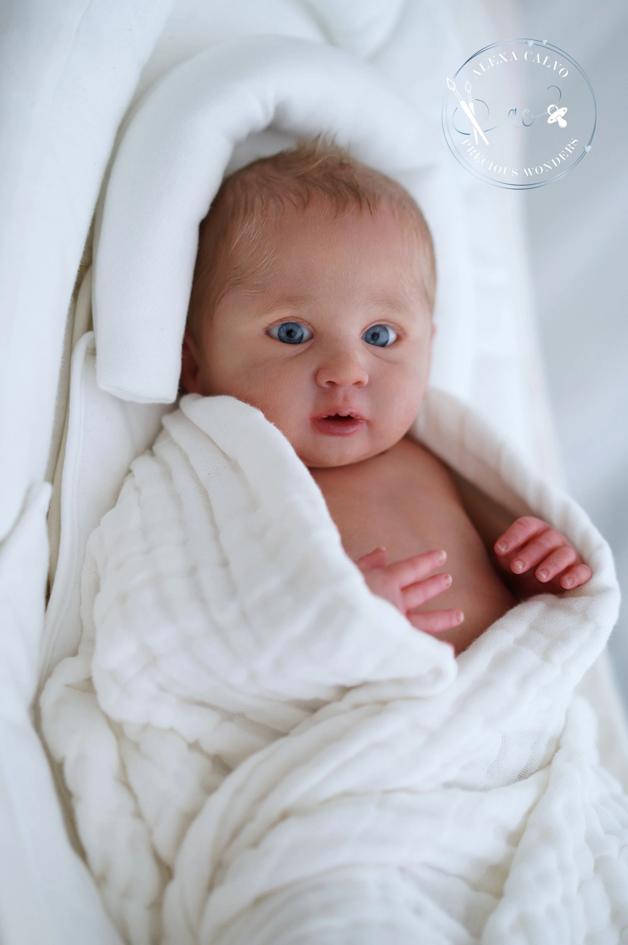 2026-03-09 11.59.36.jpg