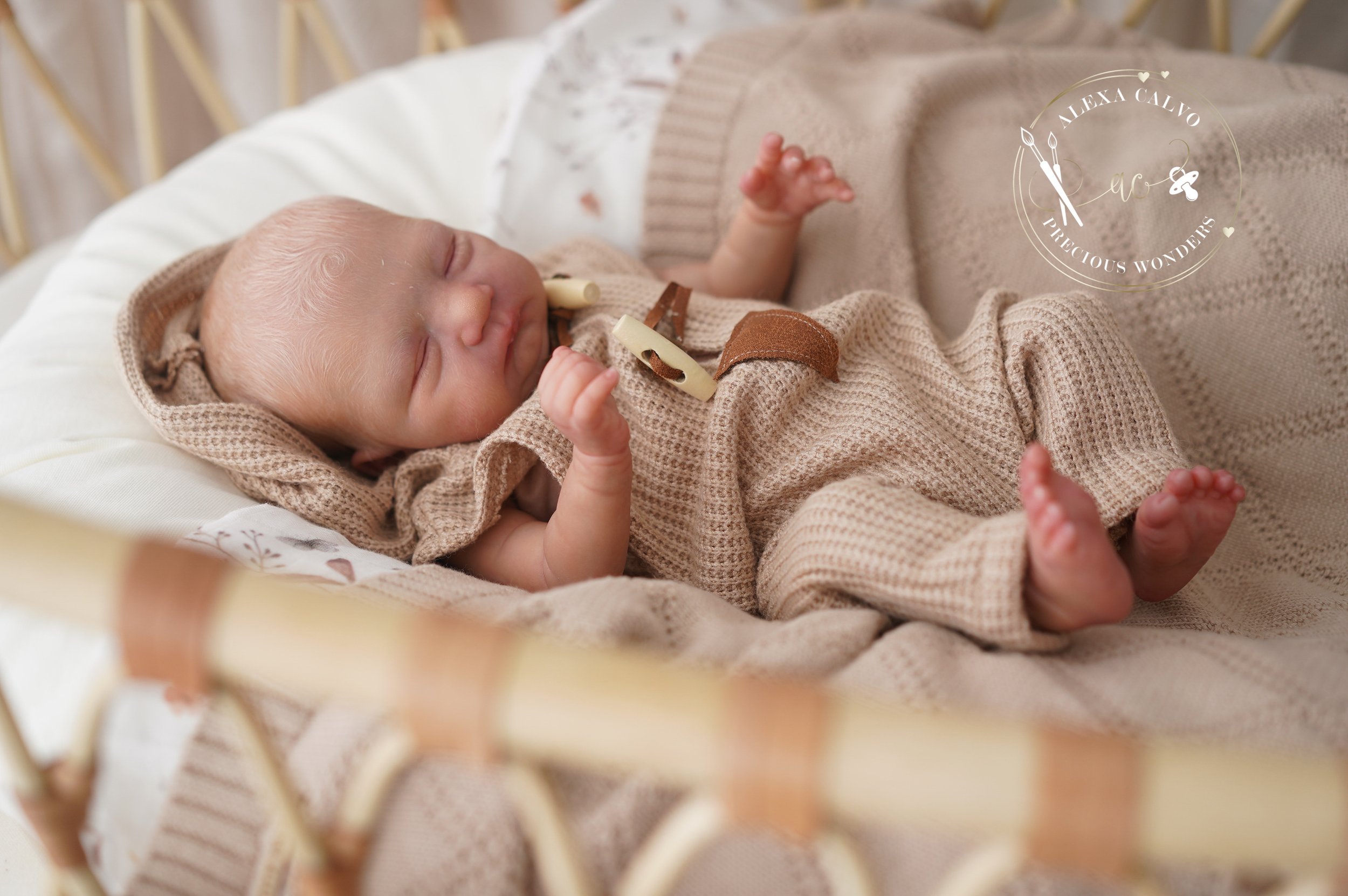 2026-03-31 11.41.03.jpg