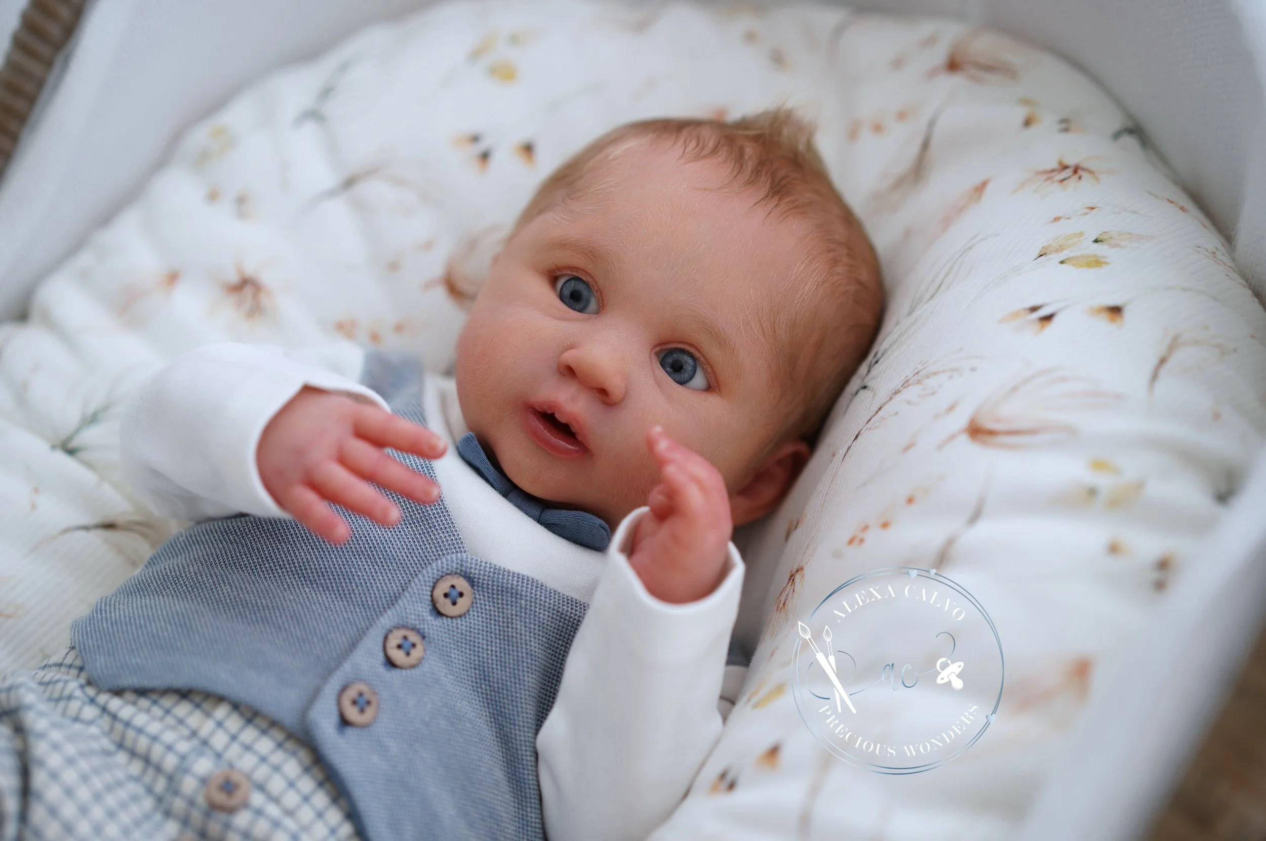 2026-03-09 12.51.05.jpg