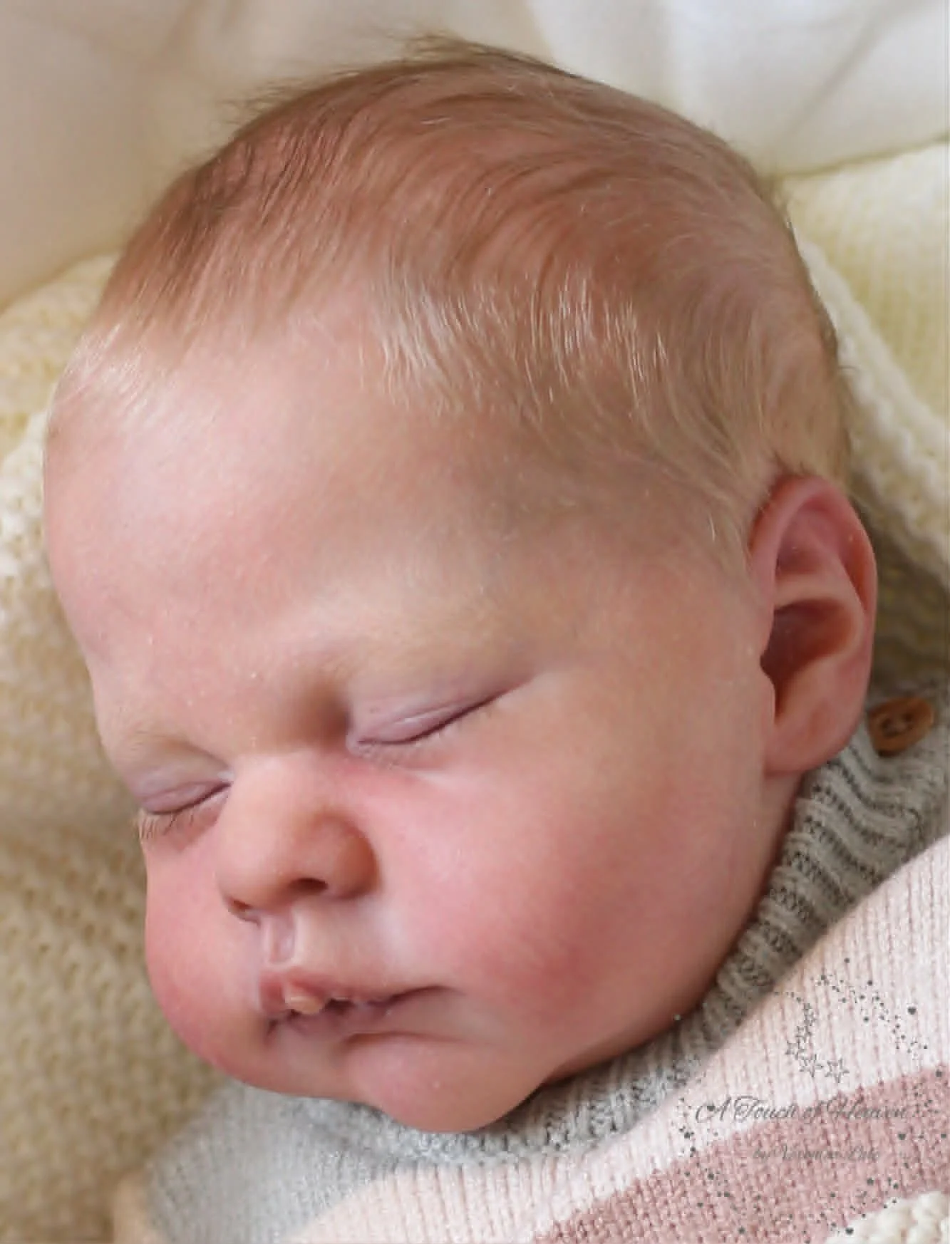 Maxan scupted by Doris Moyers-Hornbogen - Pre-Order from 2nd June