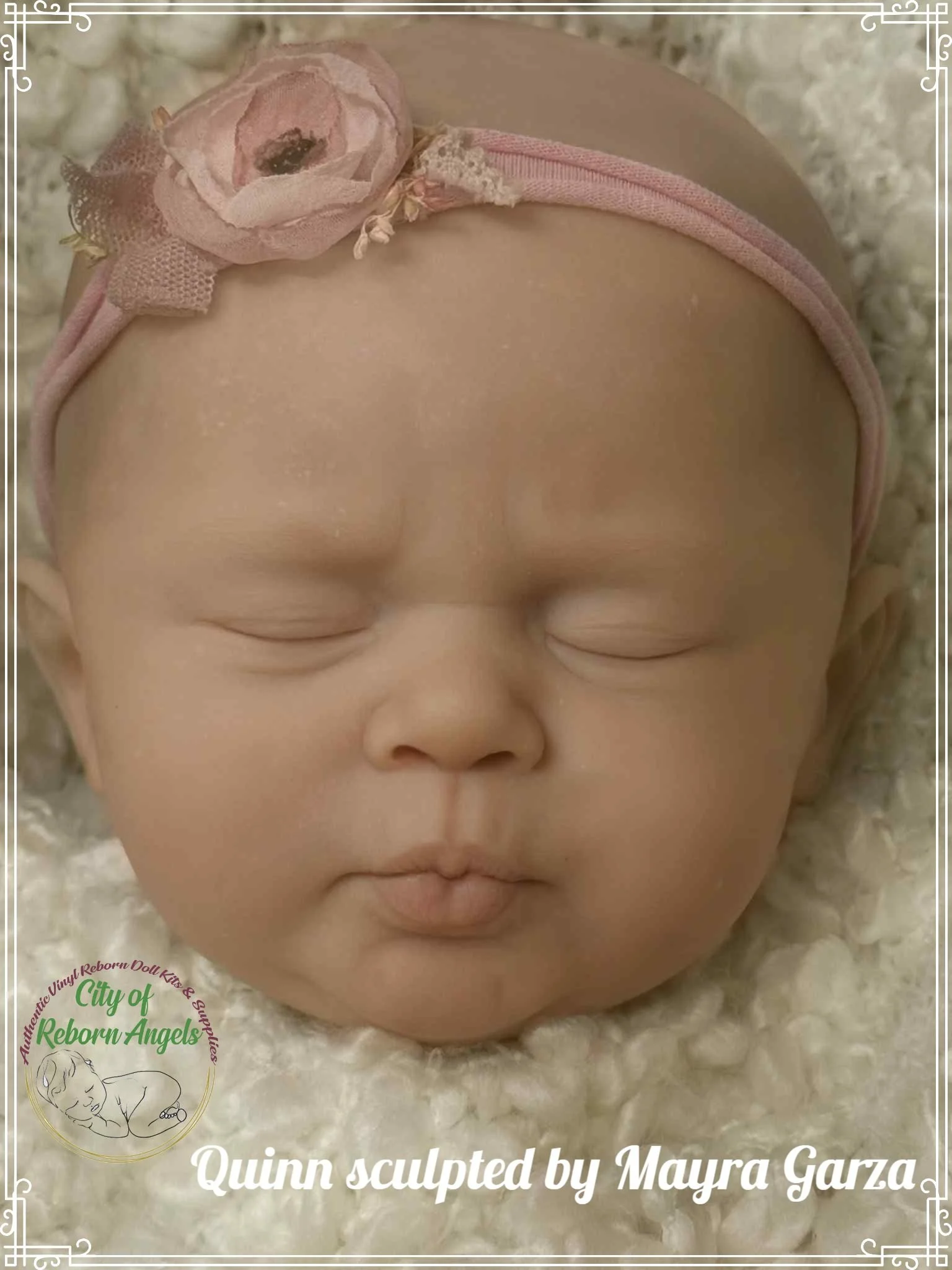 quinn with colour.jpg