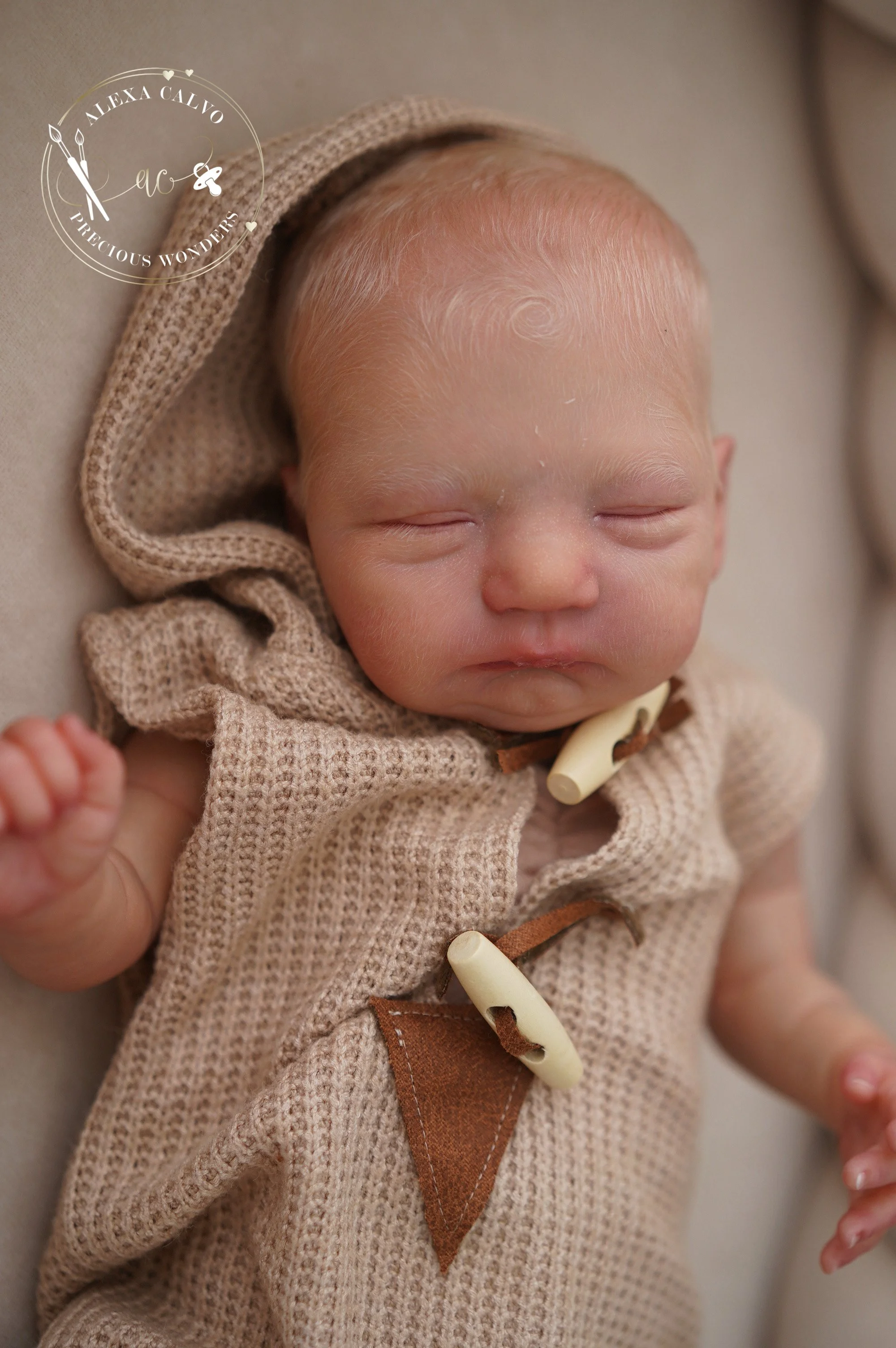 2026-03-31 11.48.10.jpg