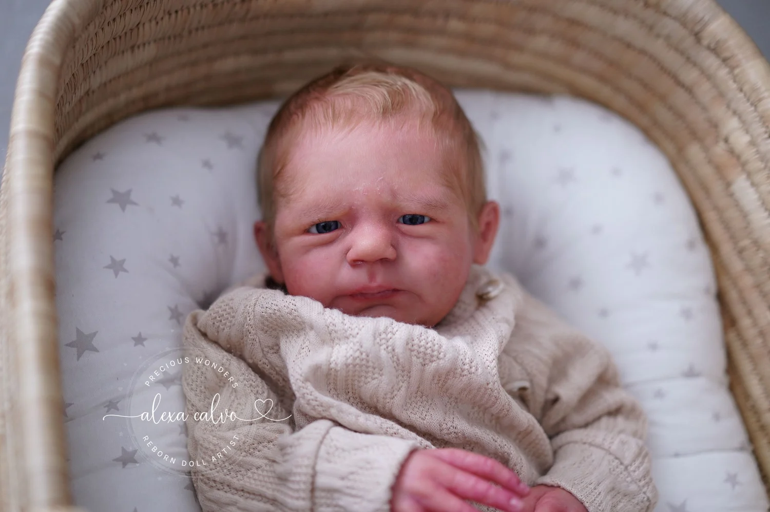 Edwin Elisa Reborn Edwin By Elisa Marx Top