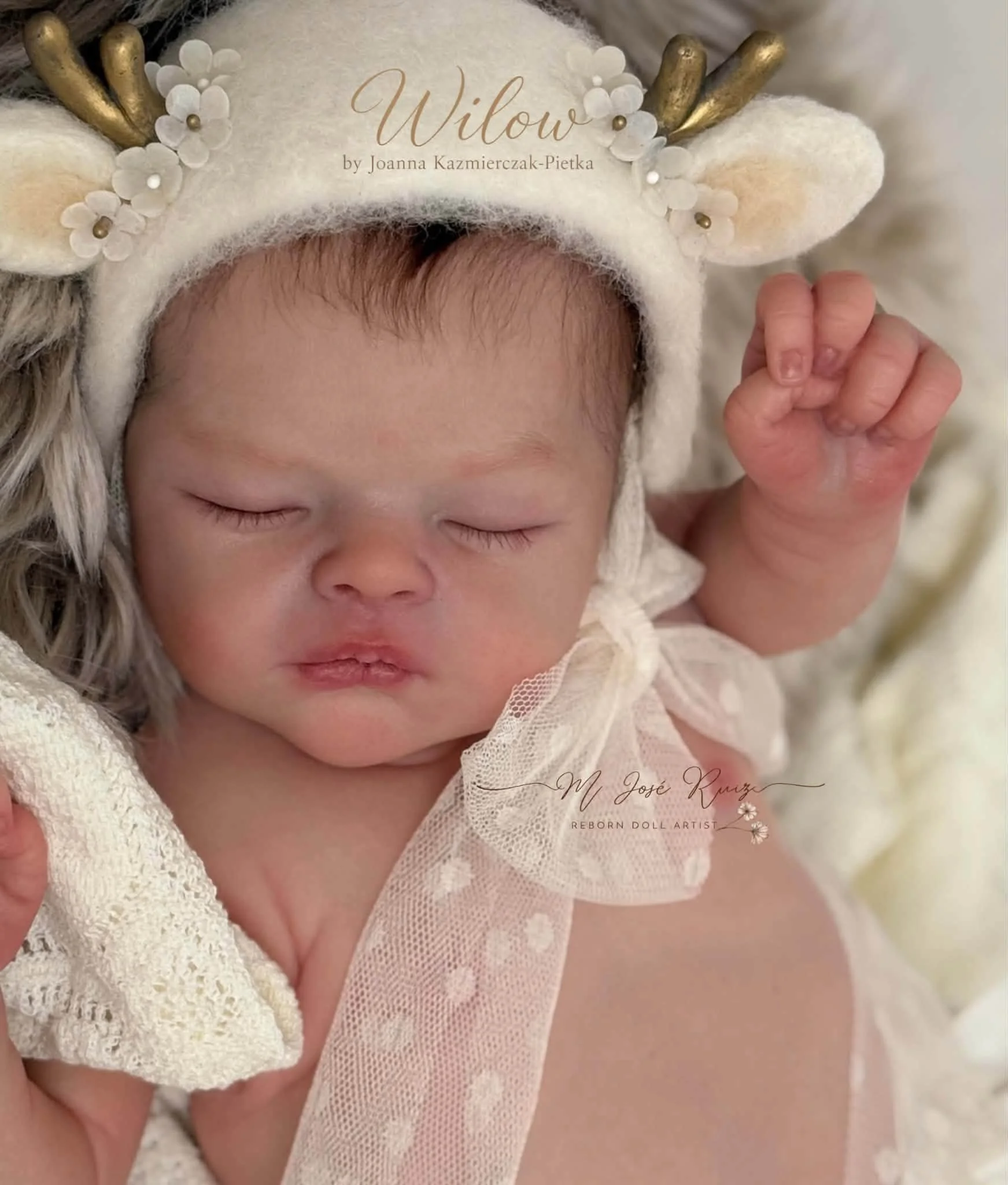 willow87.jpg