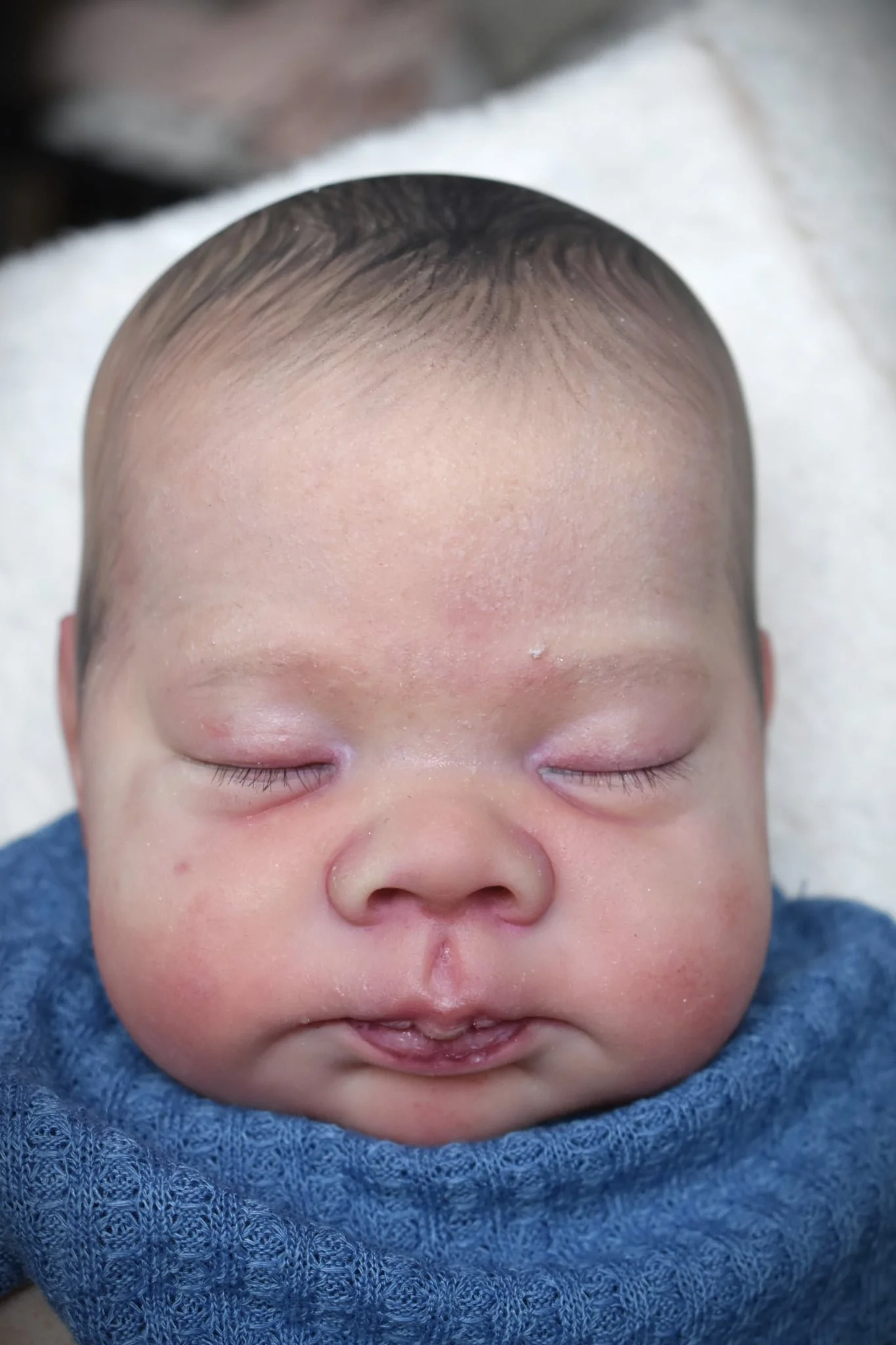 Lennon by Doris Moyers-Hornbogen - Pre-Order from 7th of Febr