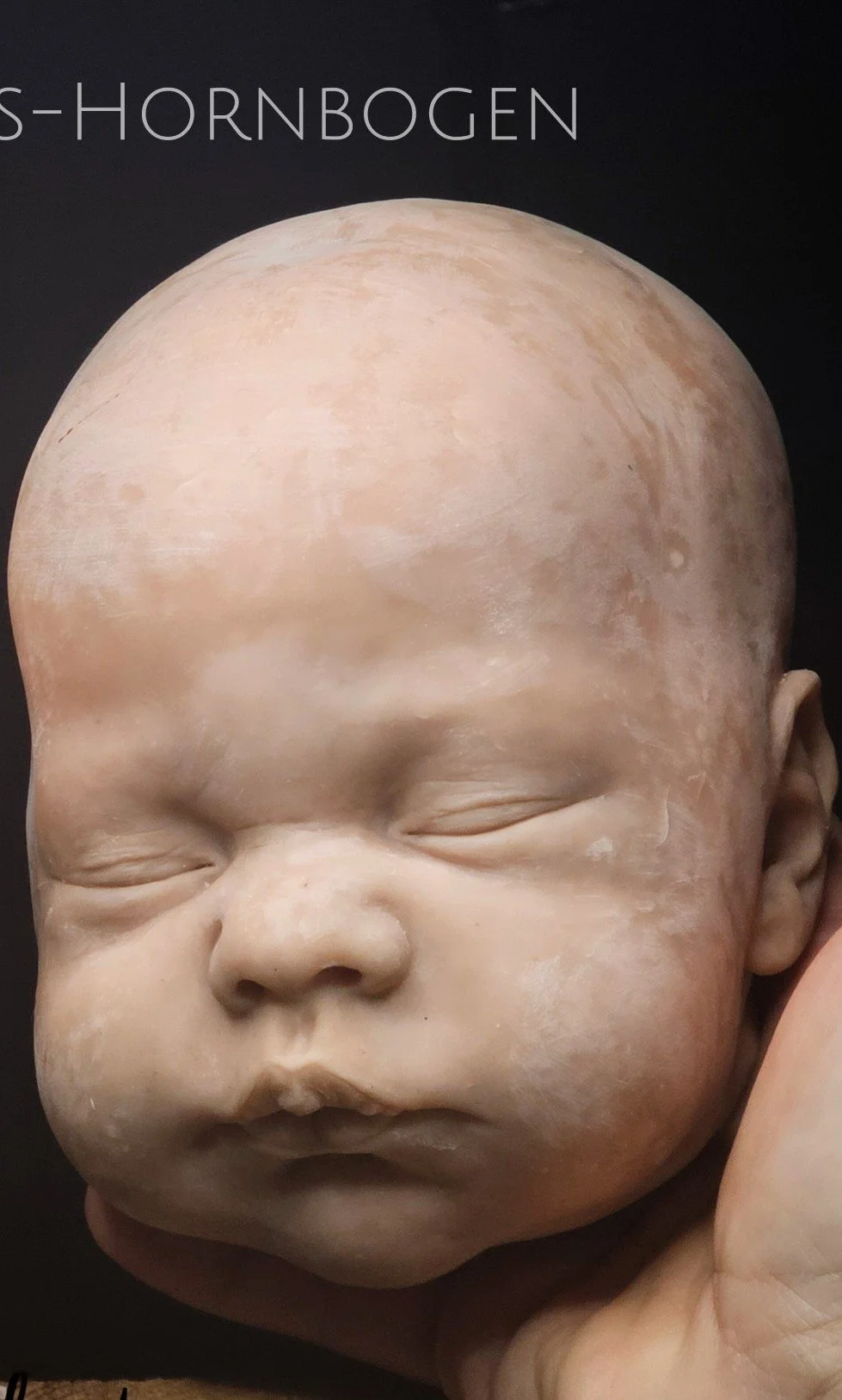 Sculpt start to end Maxan.jpg