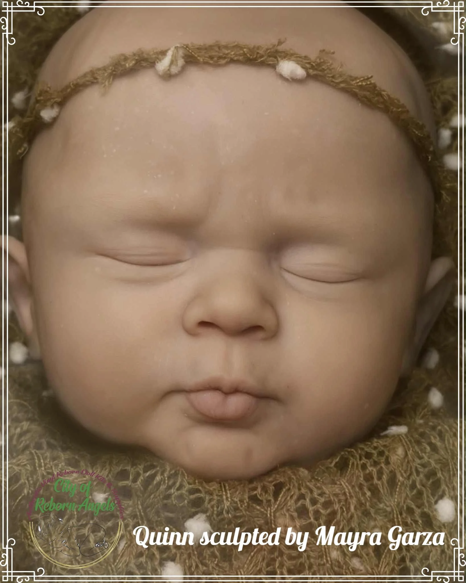 quinn with colours.jpg