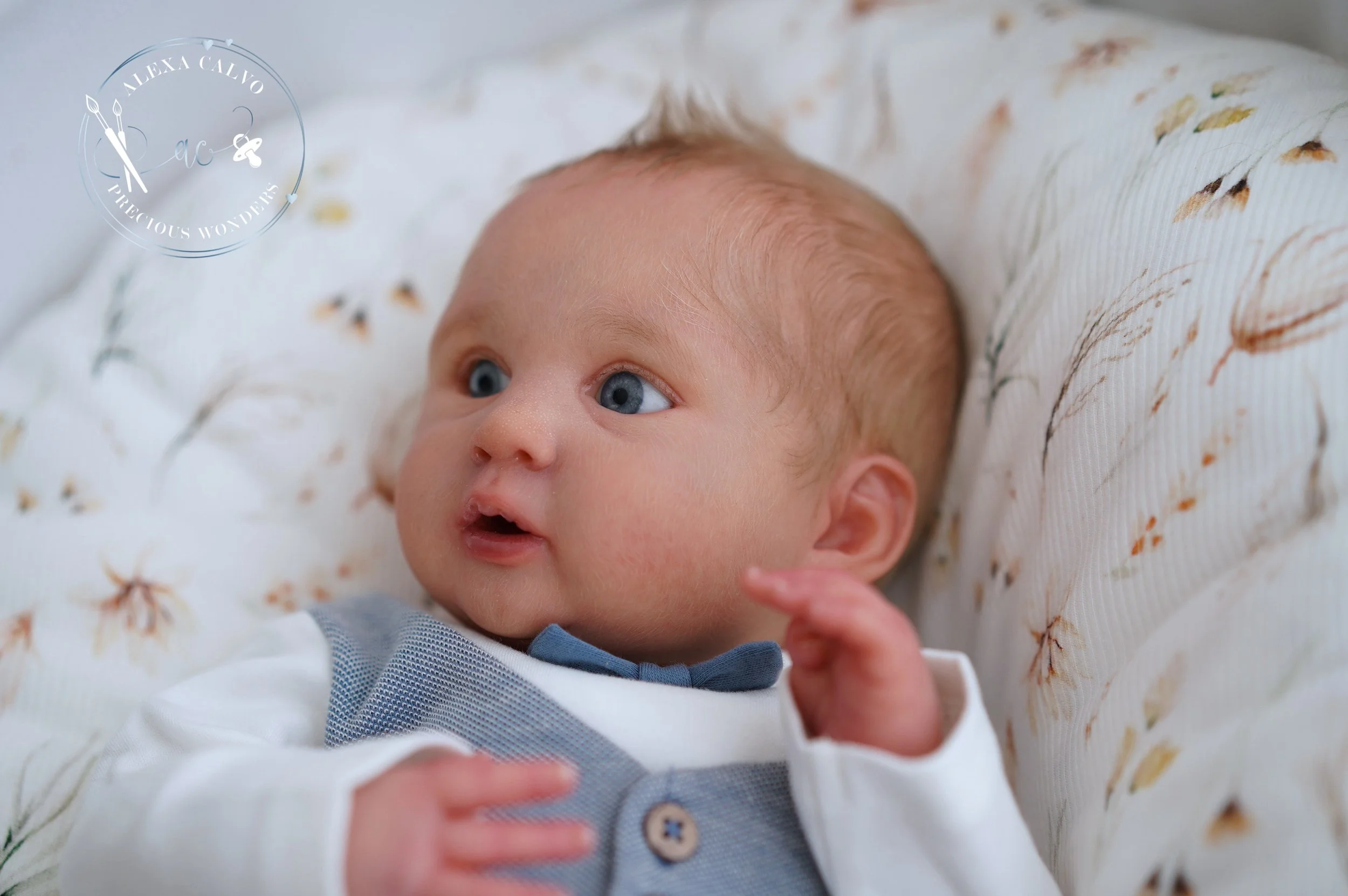 2026-03-09 12.58.19.jpg