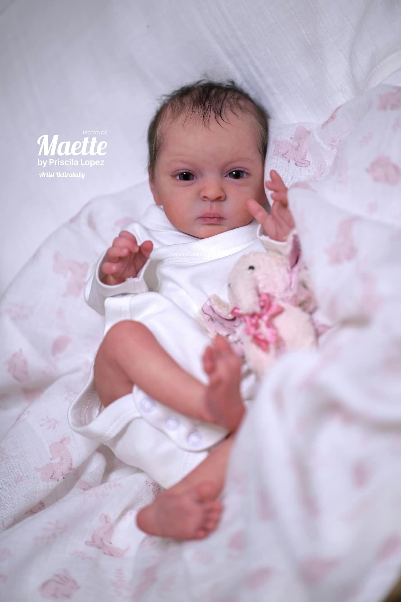 maitte8.jpg