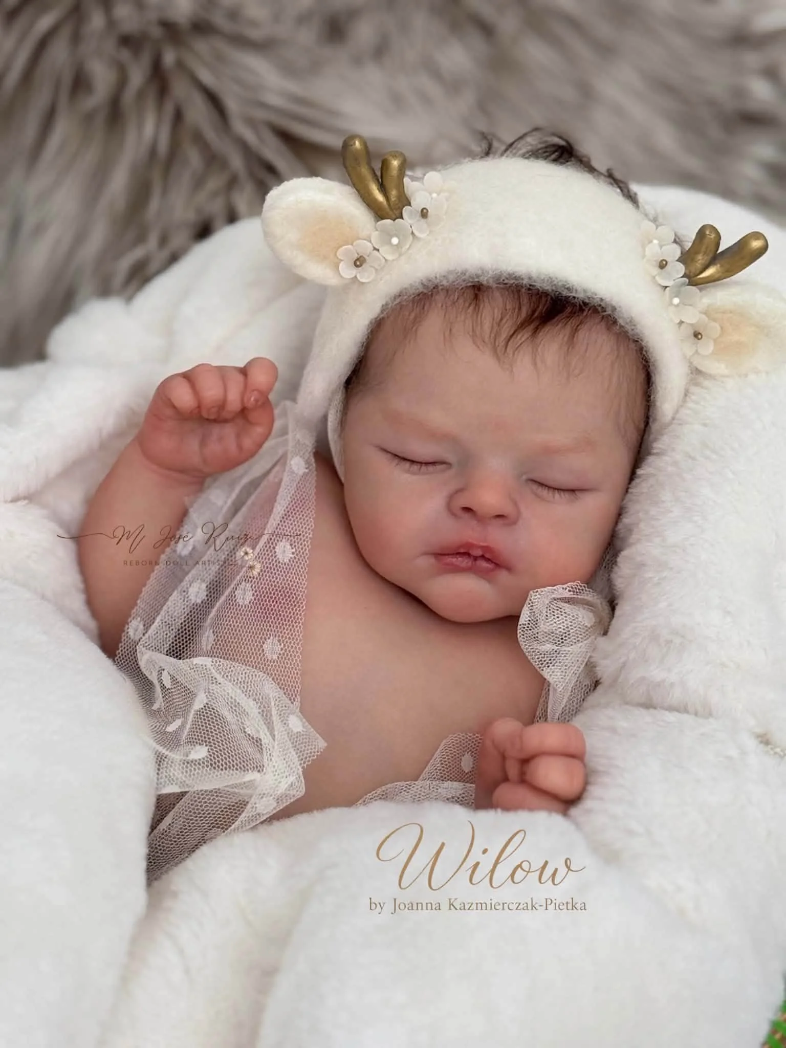 Willow by Joanna Kazmierczak-Pietka - Pre-Order early Nov