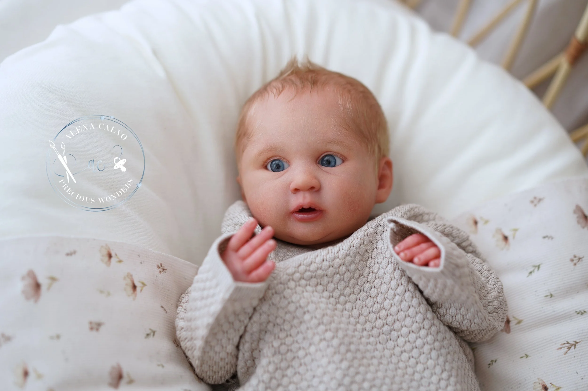 2026-03-09 12.39.57.jpg