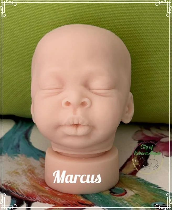 Marcus for certificate.jpeg