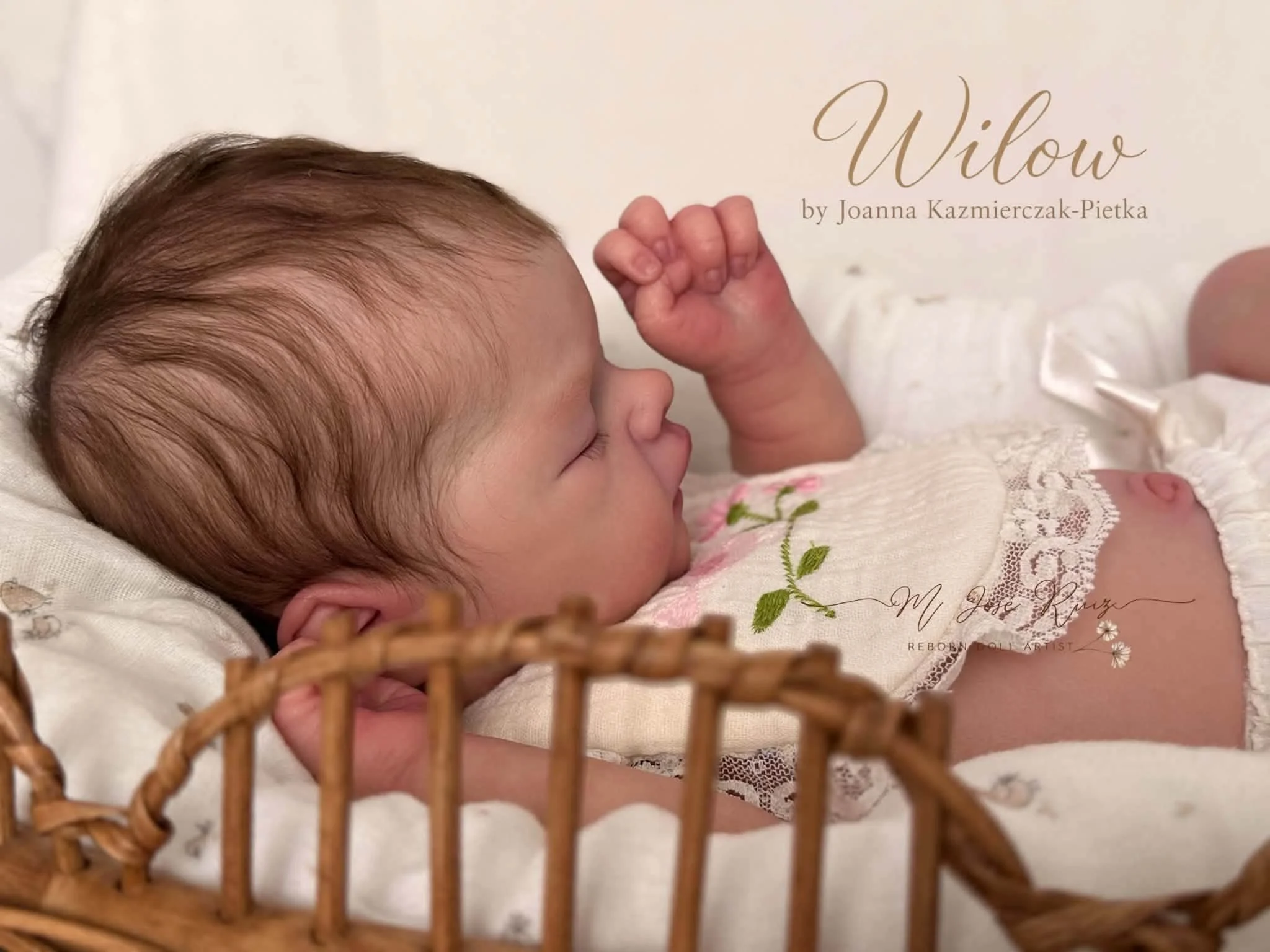 willoe23.jpg