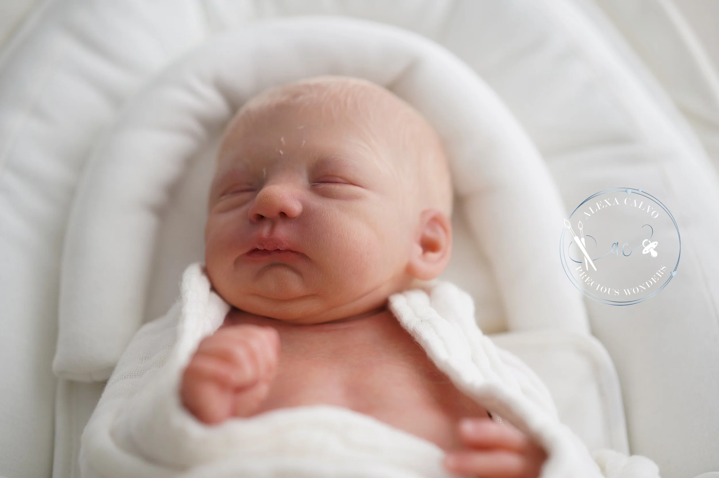 2026-03-31 11.13.36.jpg