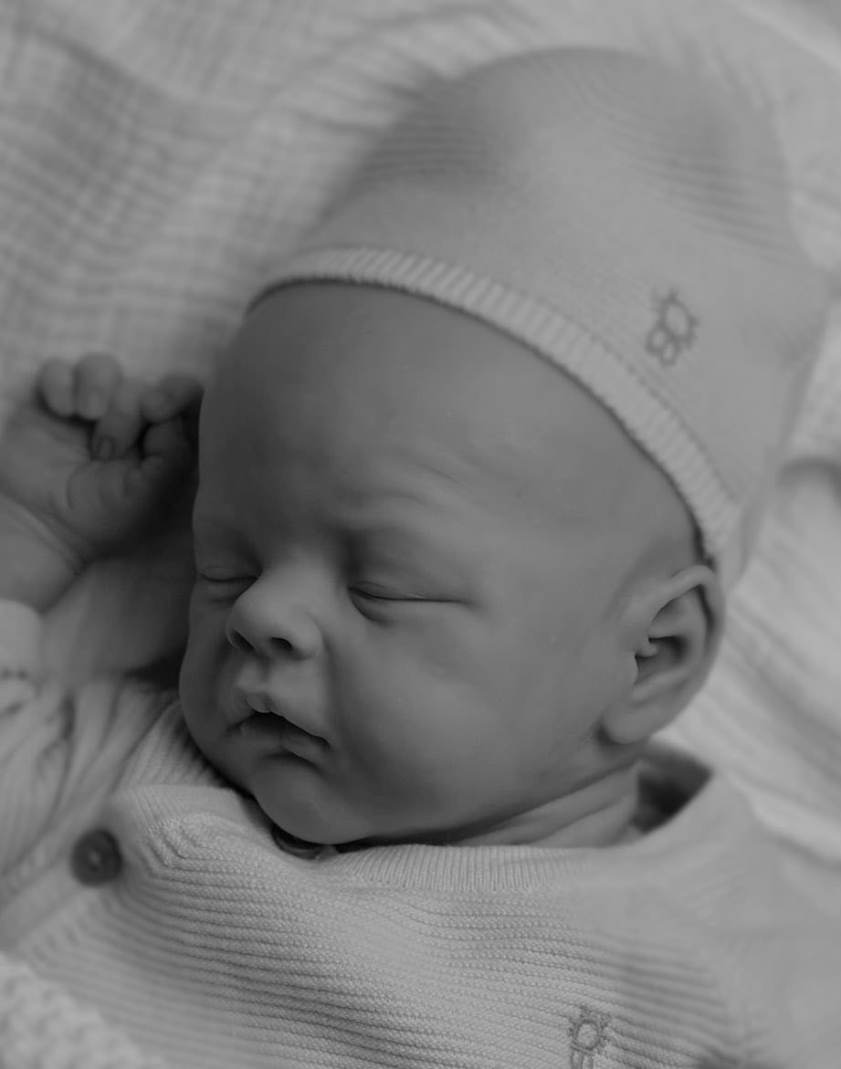 willow2.jpg