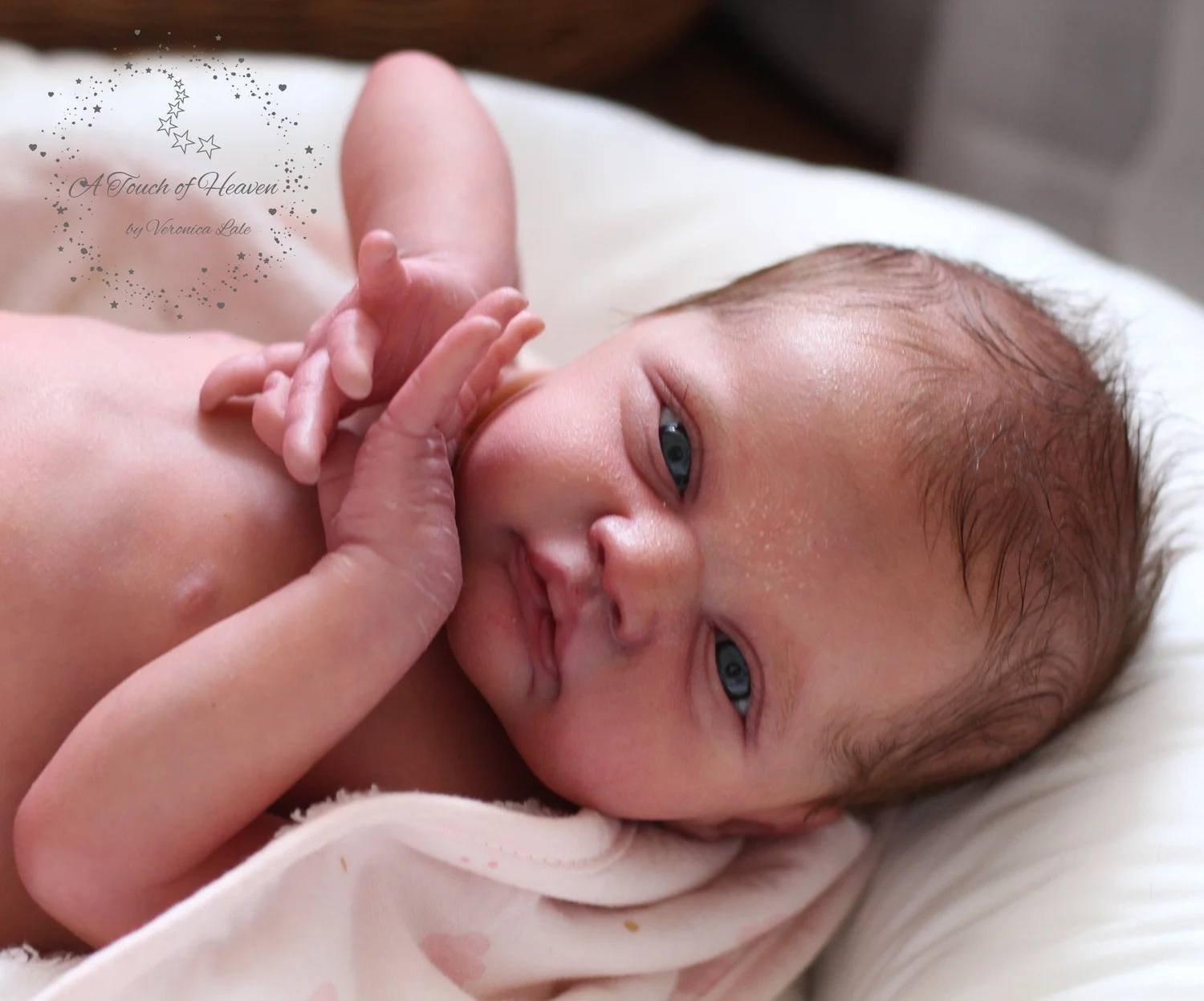 Bountiful Baby Kit Gracie Reborn Gracie Mae Reborn Doll Kit Kit