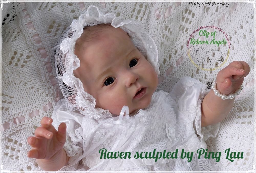 Raven for retirement.jpg