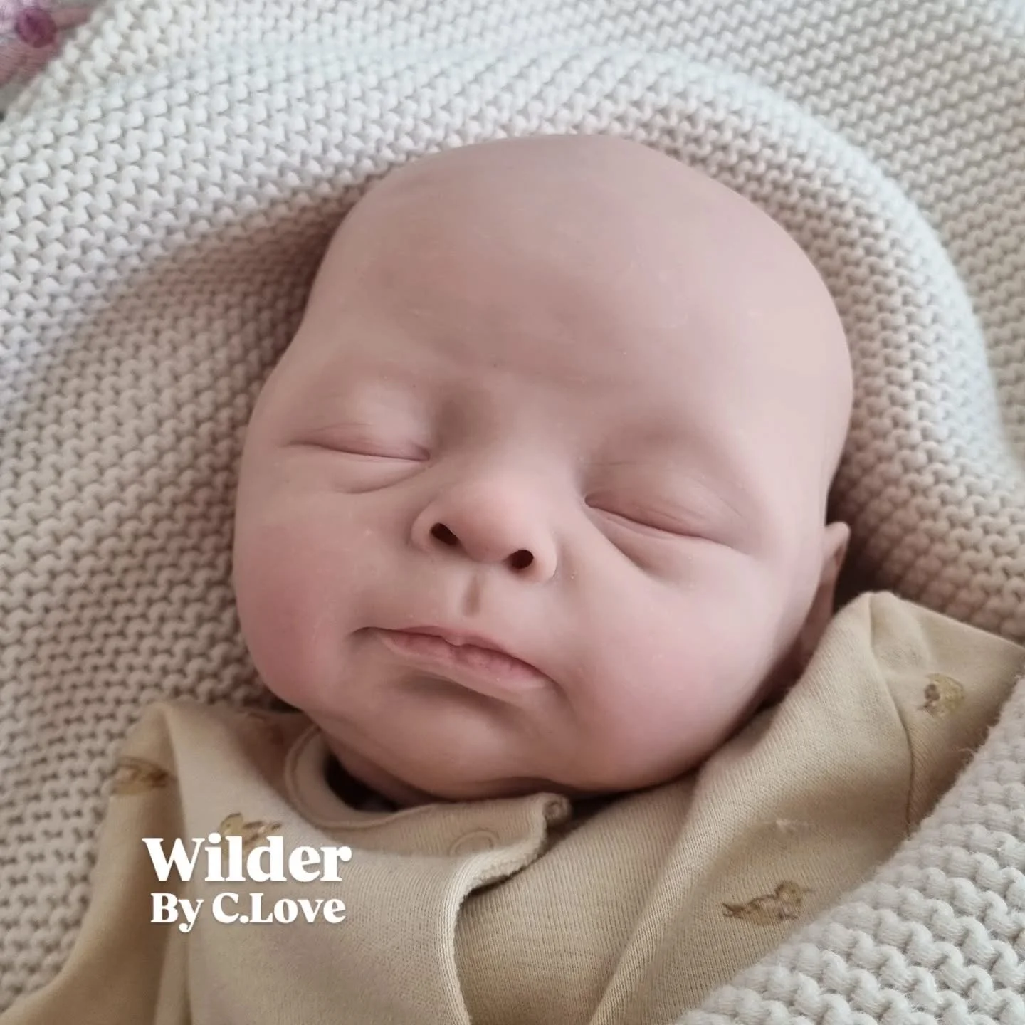 Wilder by Cassie Ann Love - Sneak Peek