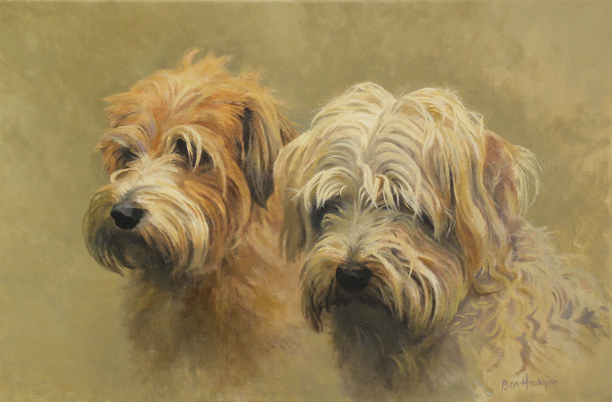 Lucas Terriers