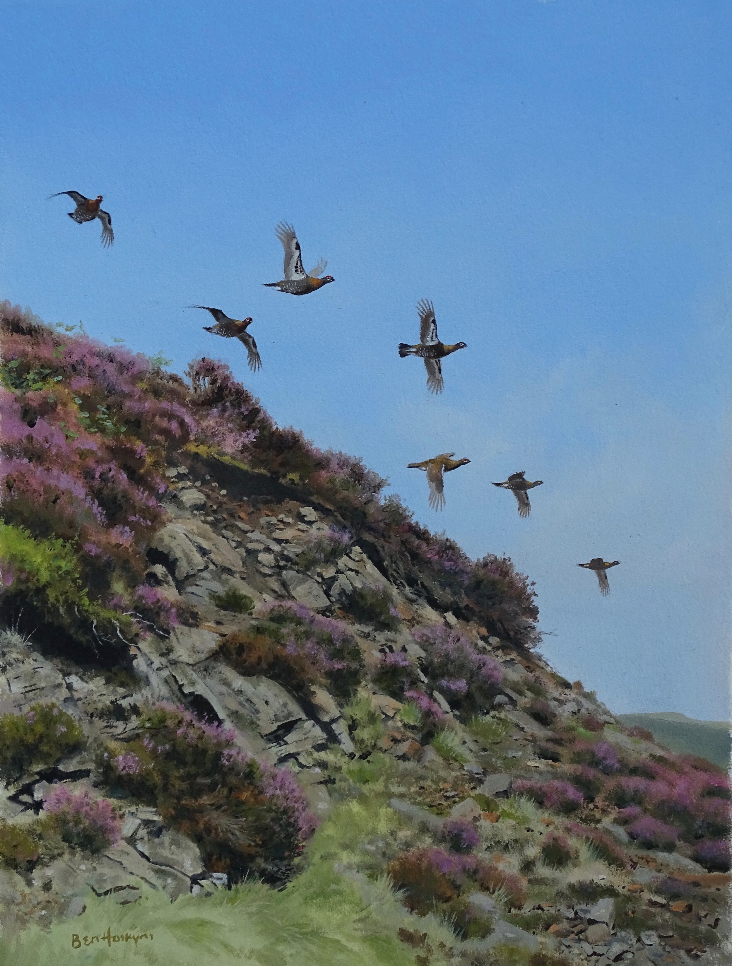 Grouse Over the Bank