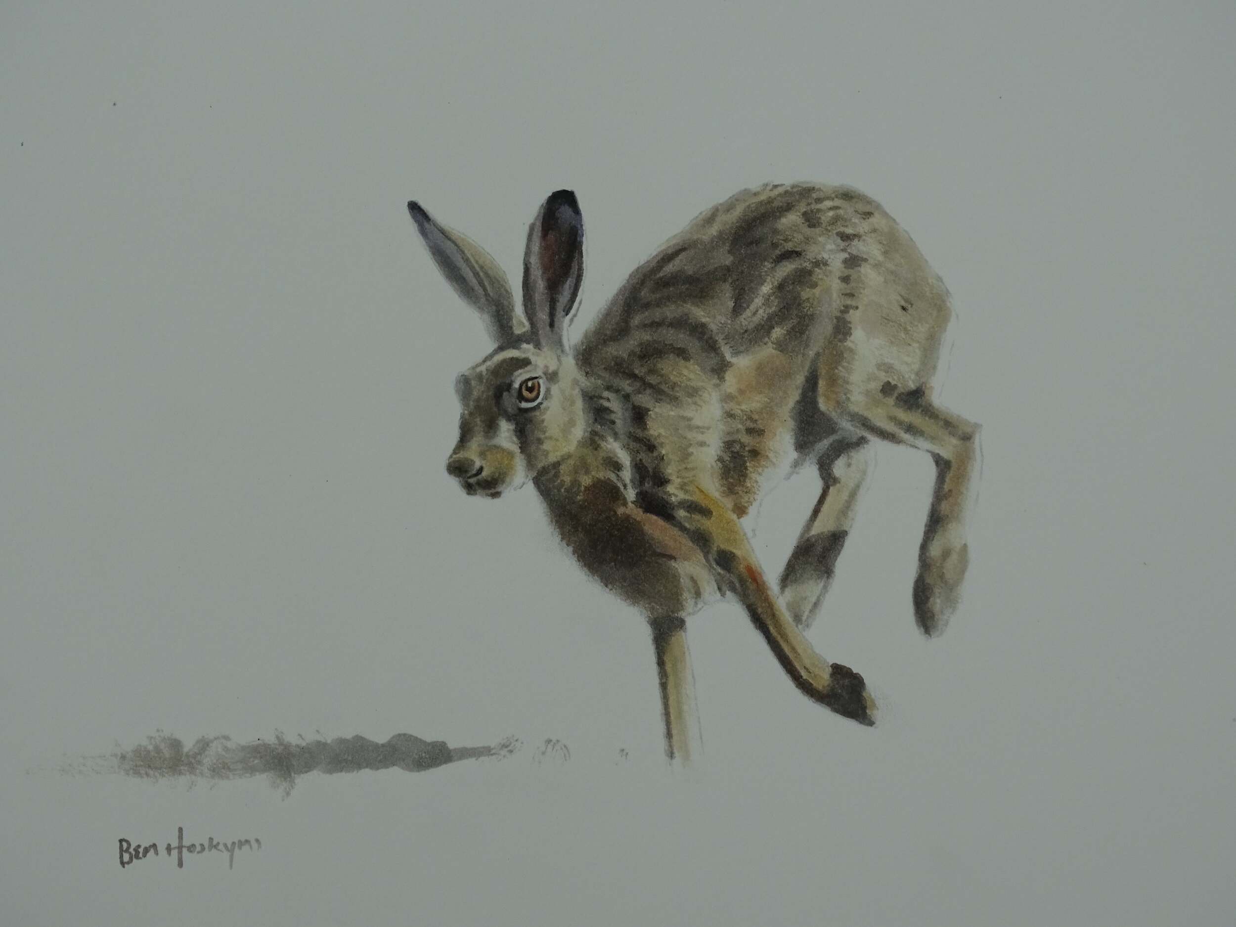 Lolloping Hare
