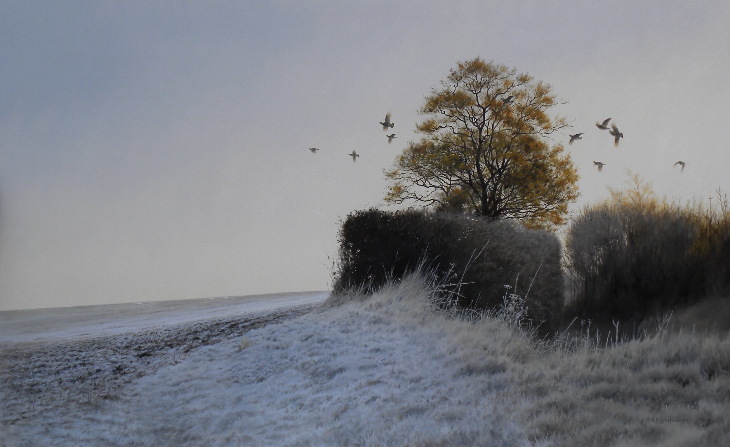 Frosty Morning - Partridges