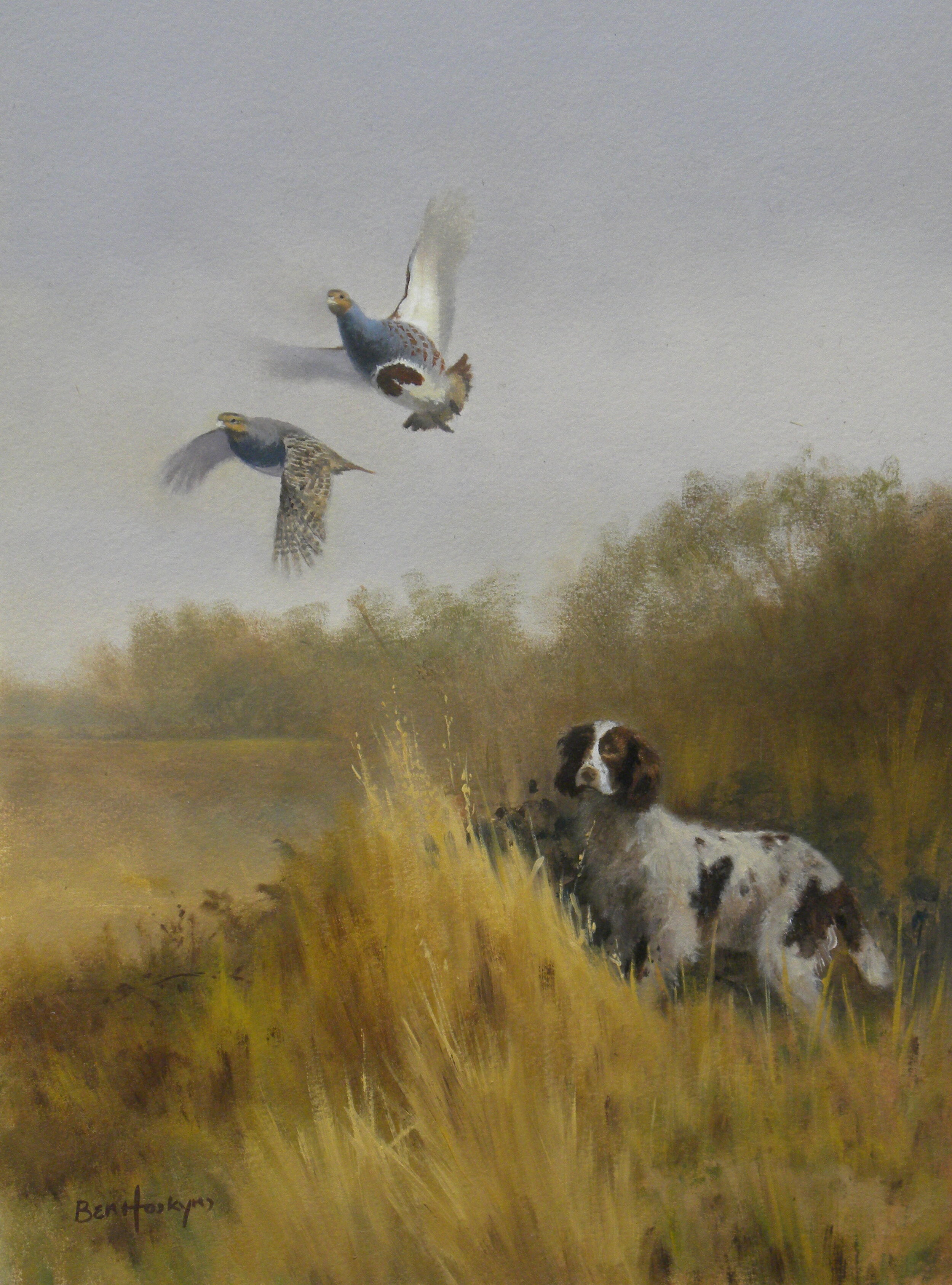 Spaniel and Partridges for Spider Appeal