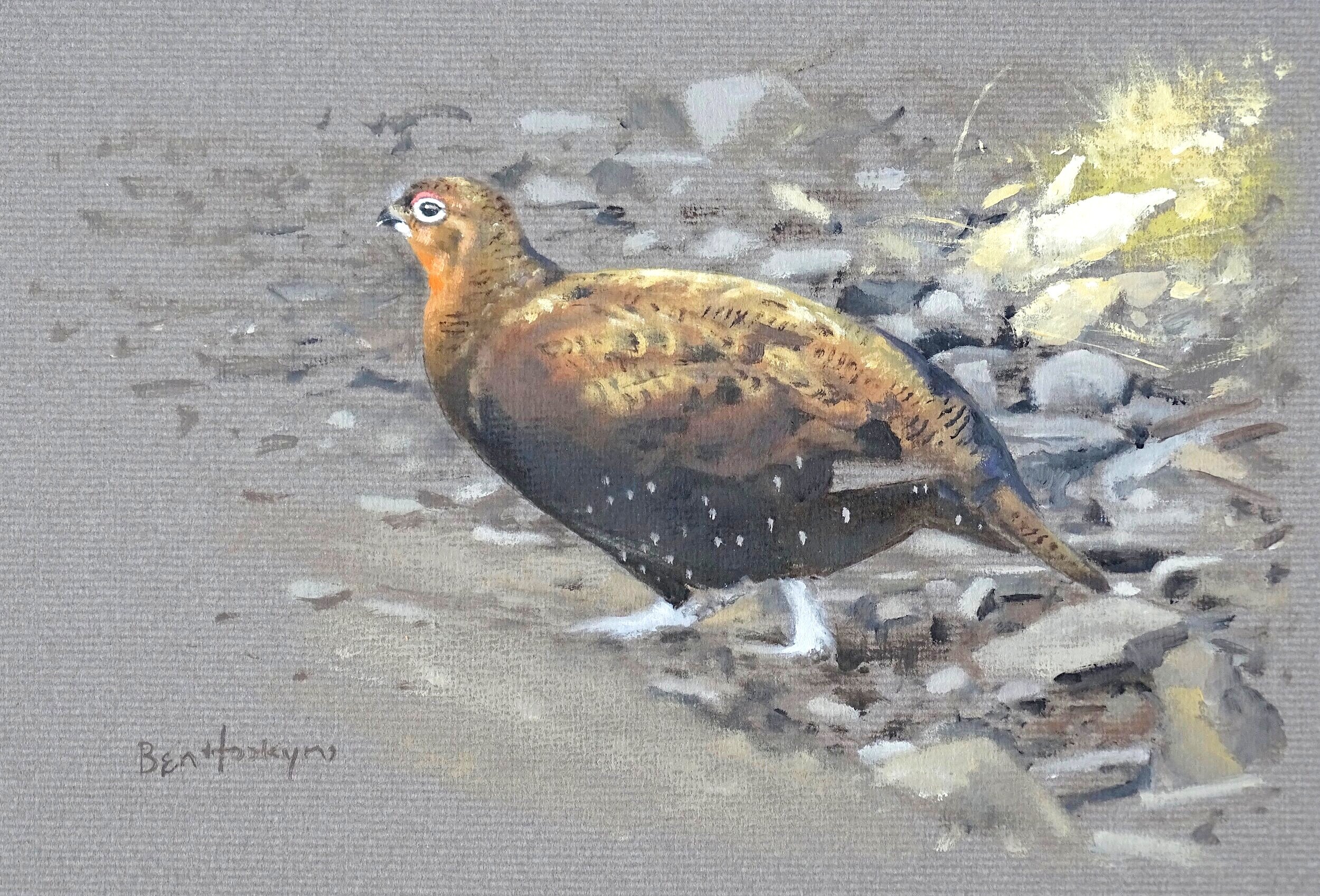 Grouse on a Track