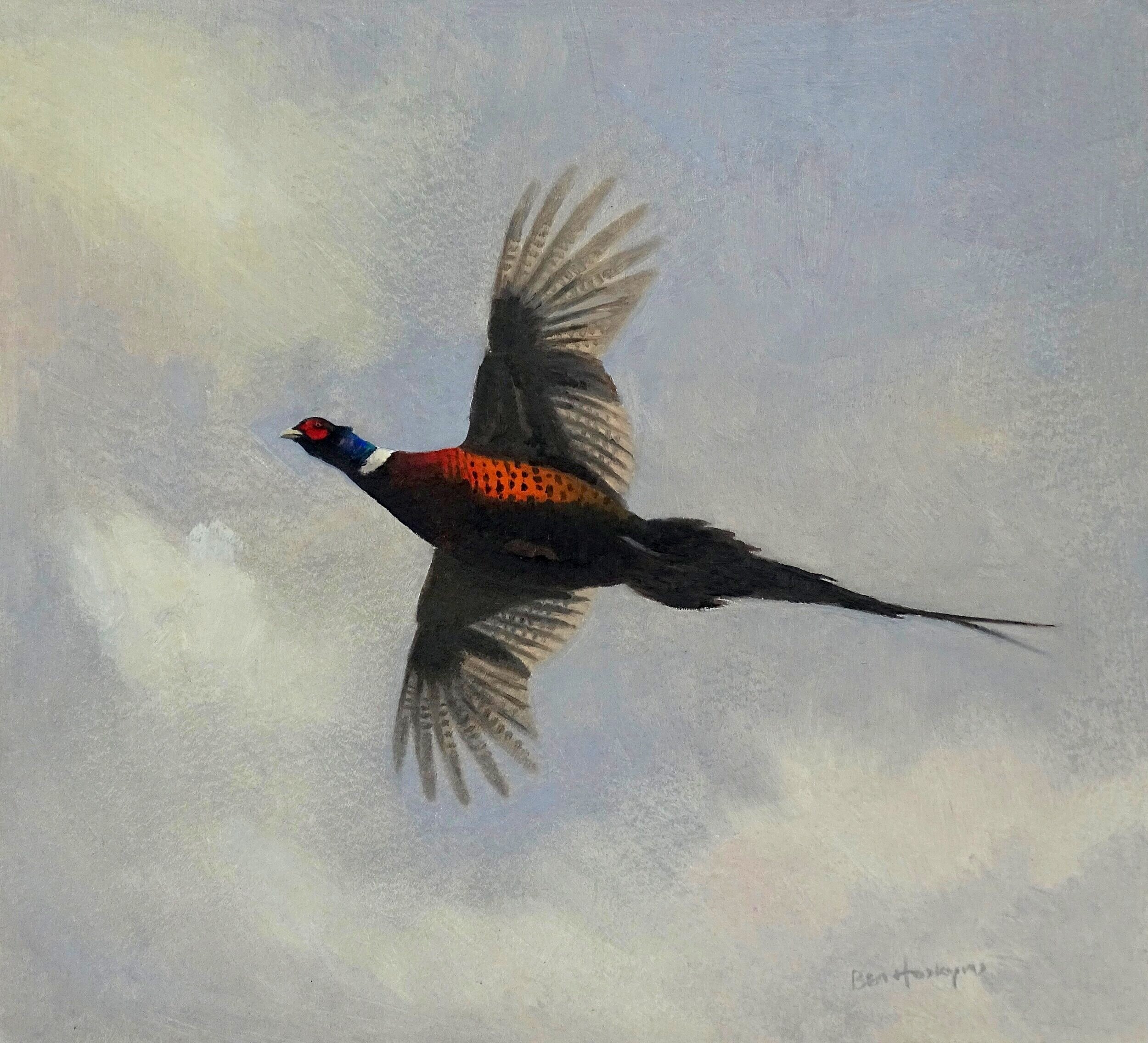 Flying Pheasant