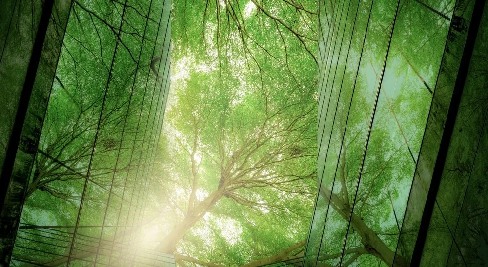 Sustainability Practice